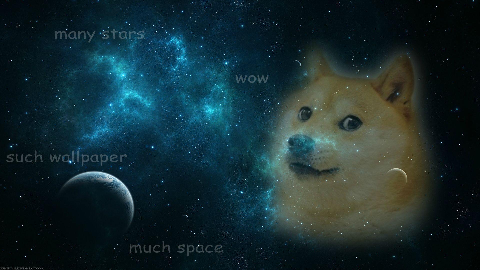 Doge Meme Wallpapers Top Free Doge Meme Backgrounds WallpaperAccess