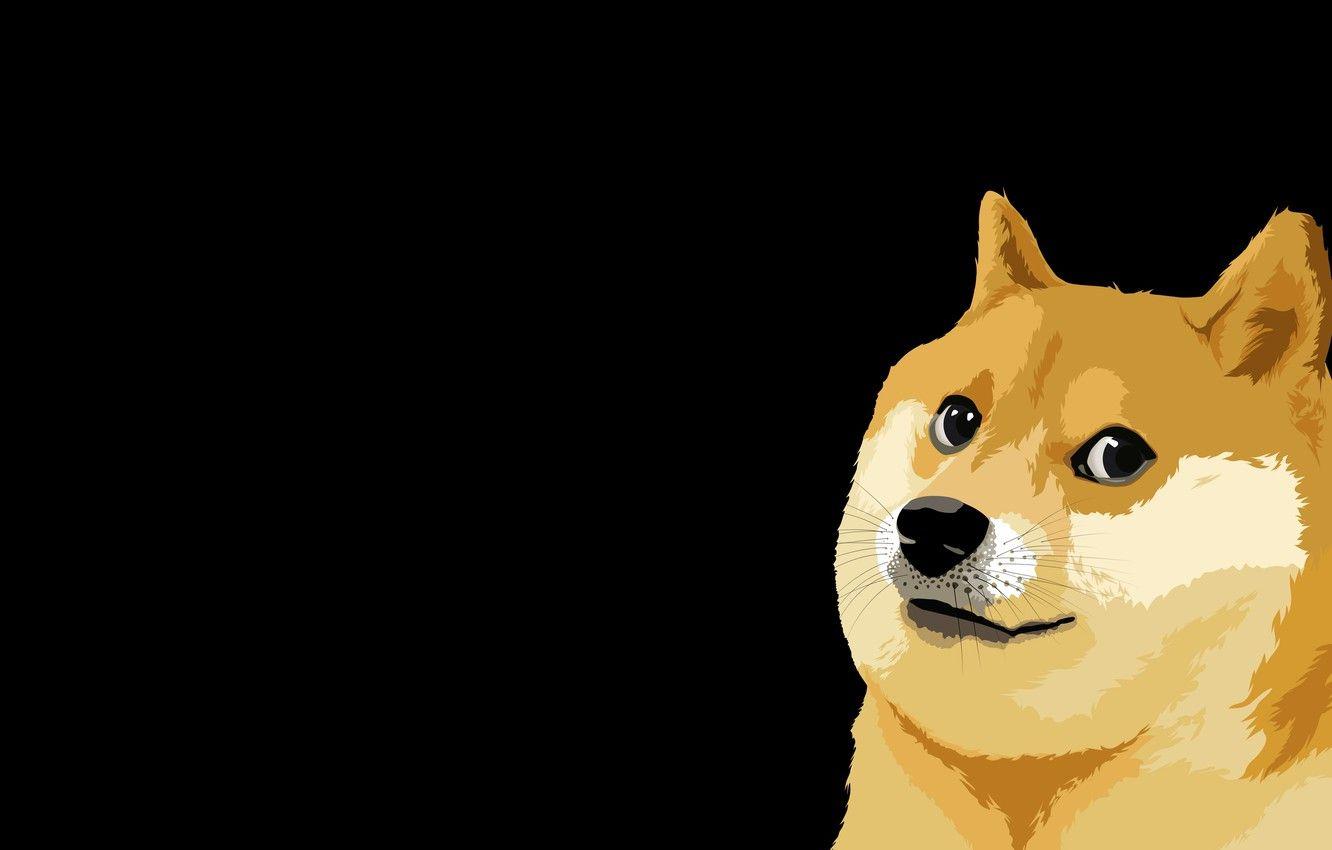 Doge Meme Wallpapers Top Free Doge Meme Backgrounds WallpaperAccess