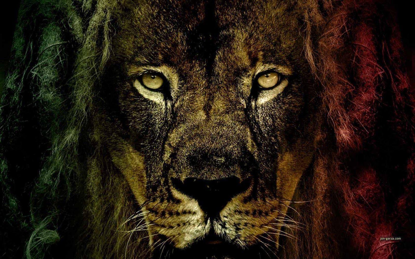 Paling Keren 16+ Rasta Lion Wallpaper Android Joen Wallpaper