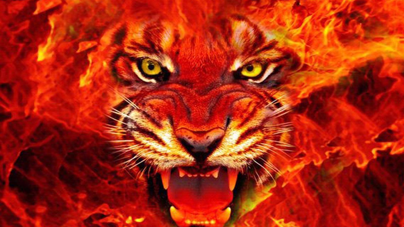 Fire Tiger Wallpapers Top Free Fire Tiger Backgrounds WallpaperAccess