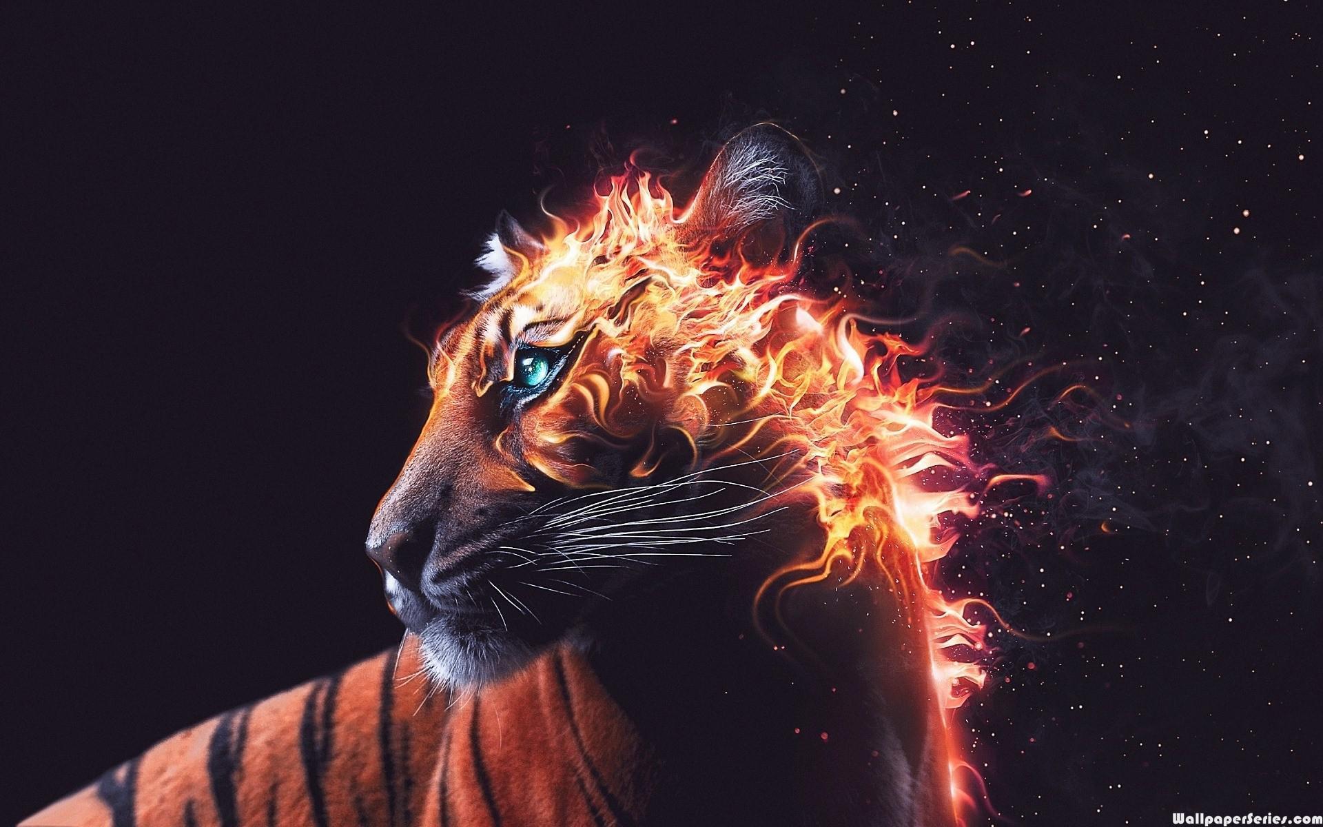 Fire Tiger Wallpapers Top Free Fire Tiger Backgrounds WallpaperAccess