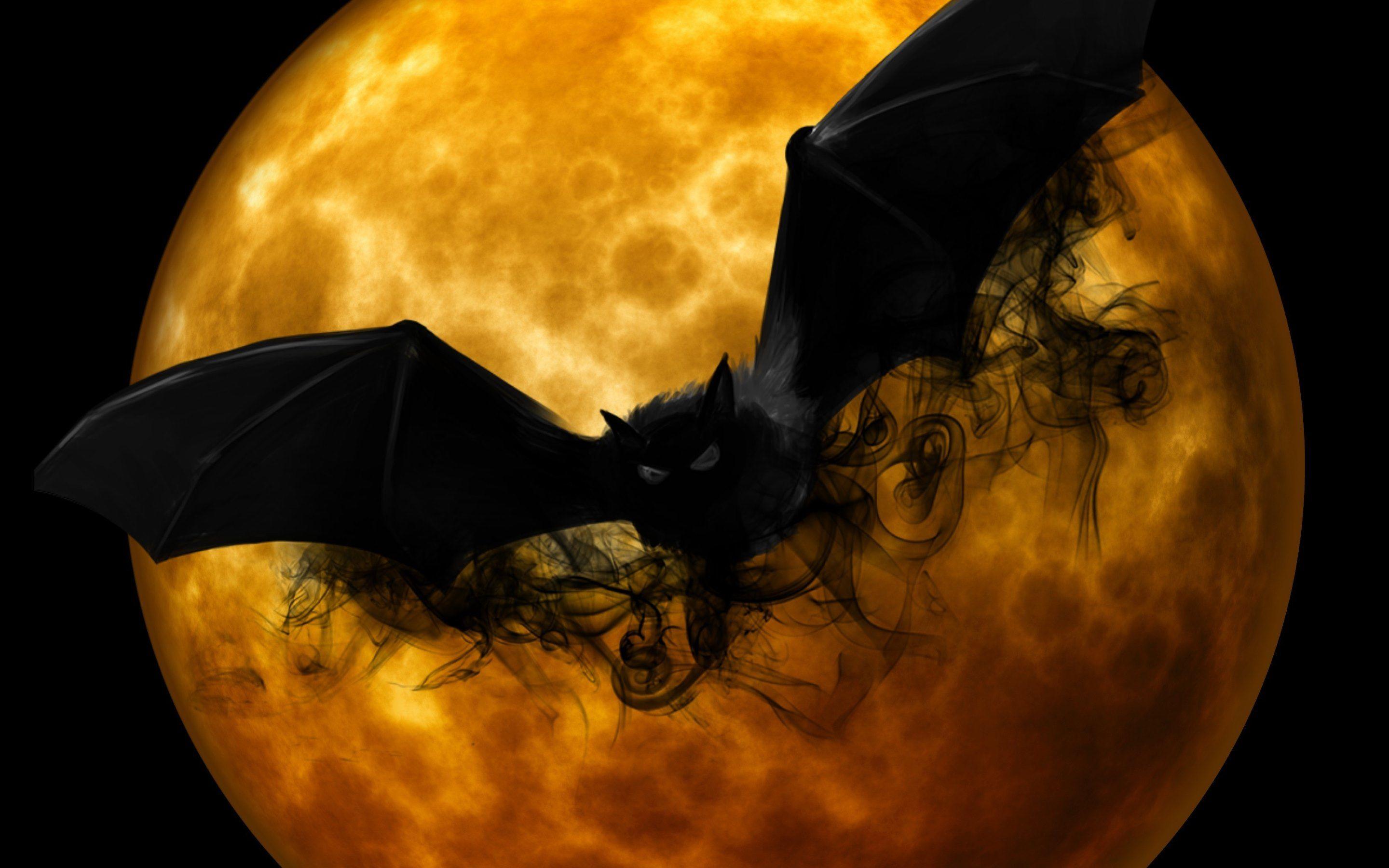 Halloween Bat Wallpapers Top Free Halloween Bat Backgrounds WallpaperAccess