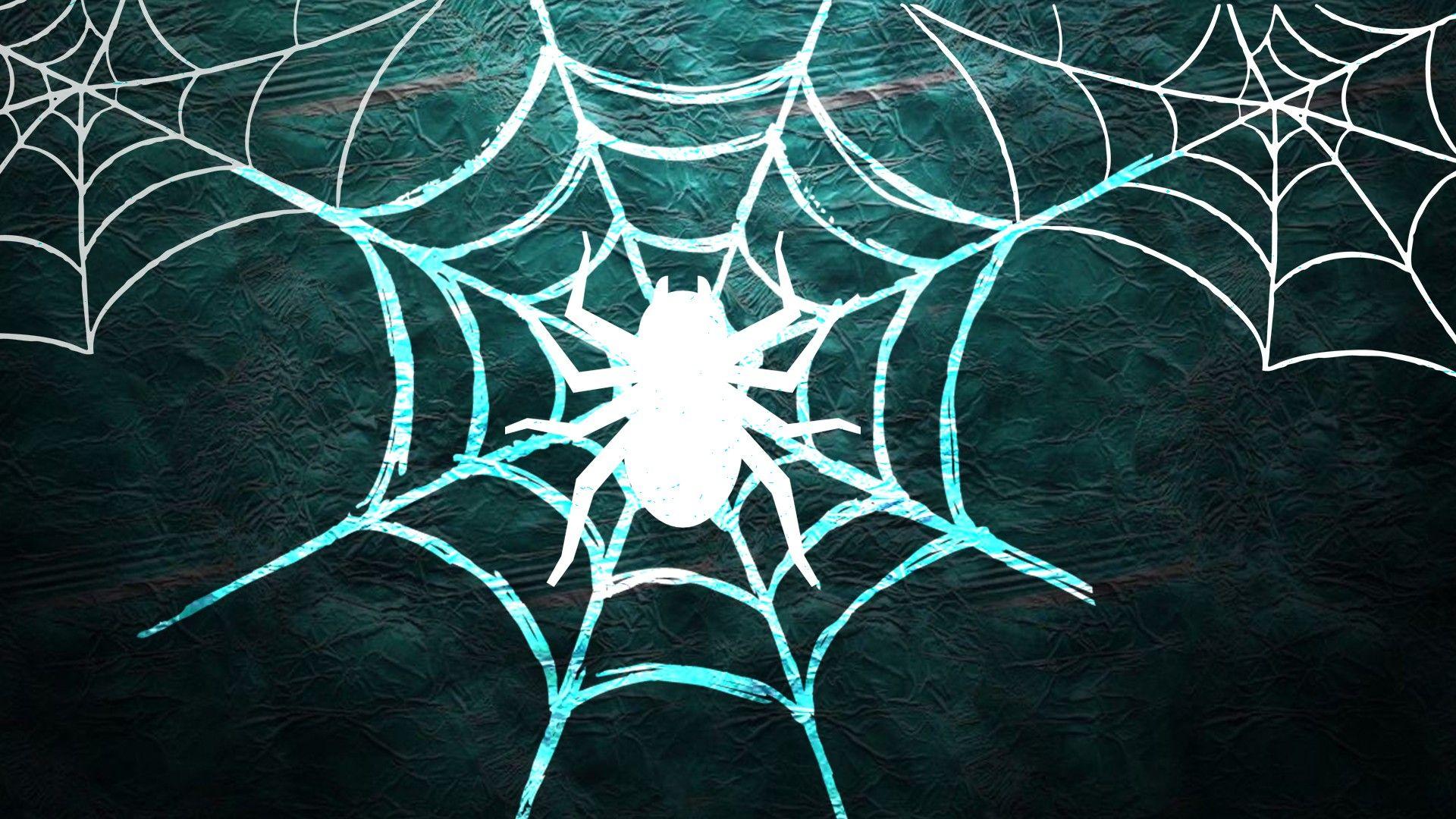 Halloween Spider Wallpapers Top Free Halloween Spider Backgrounds
