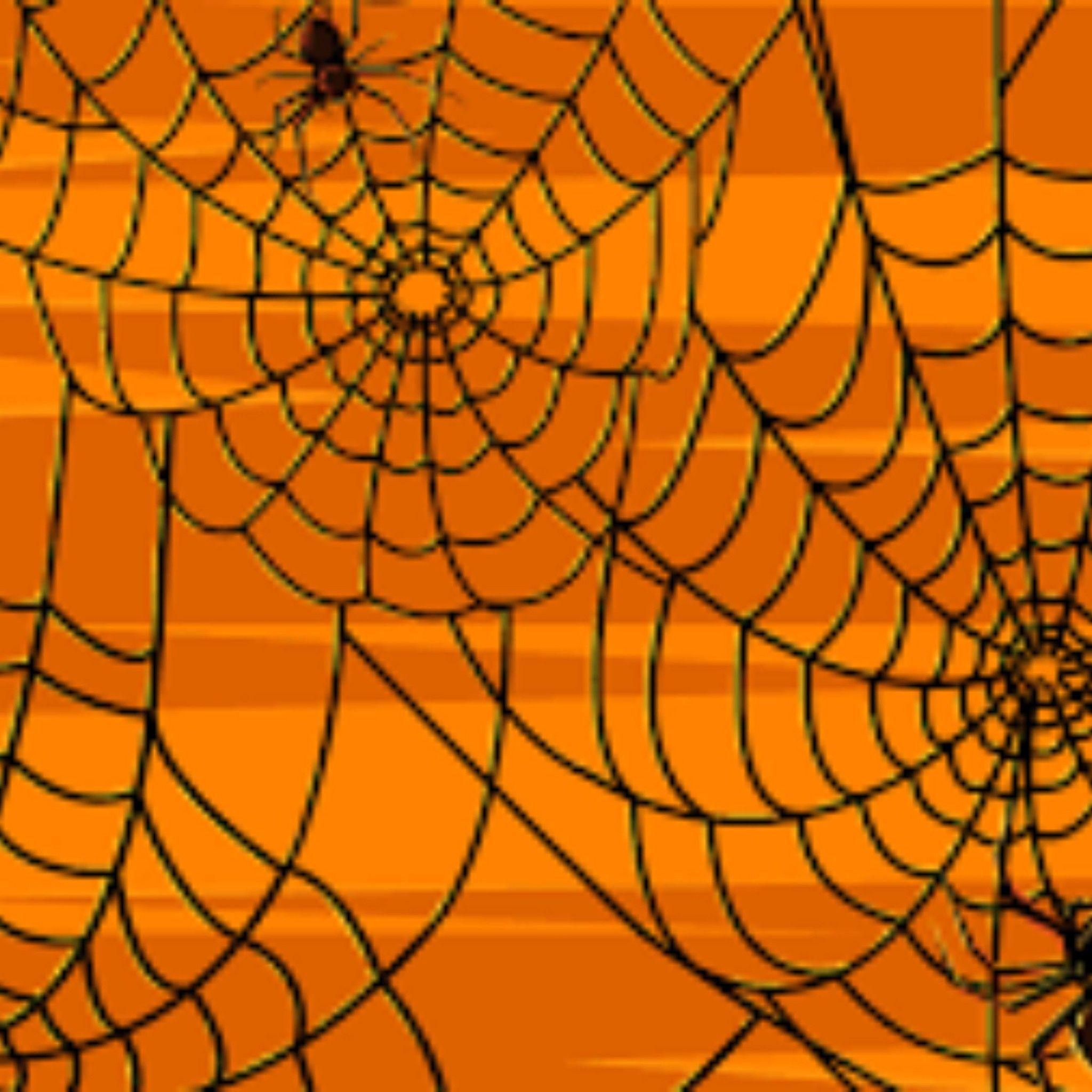 Halloween Spider Wallpapers Top Free Halloween Spider Backgrounds