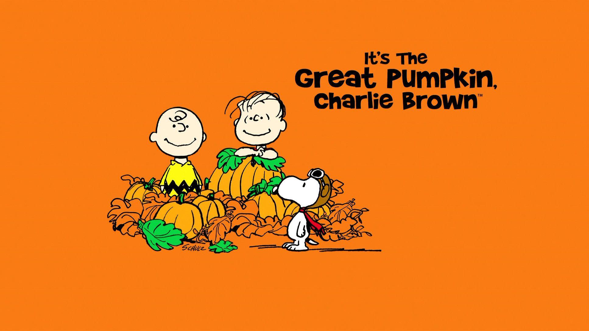 Charlie Brown Wallpapers Top Free Charlie Brown Backgrounds