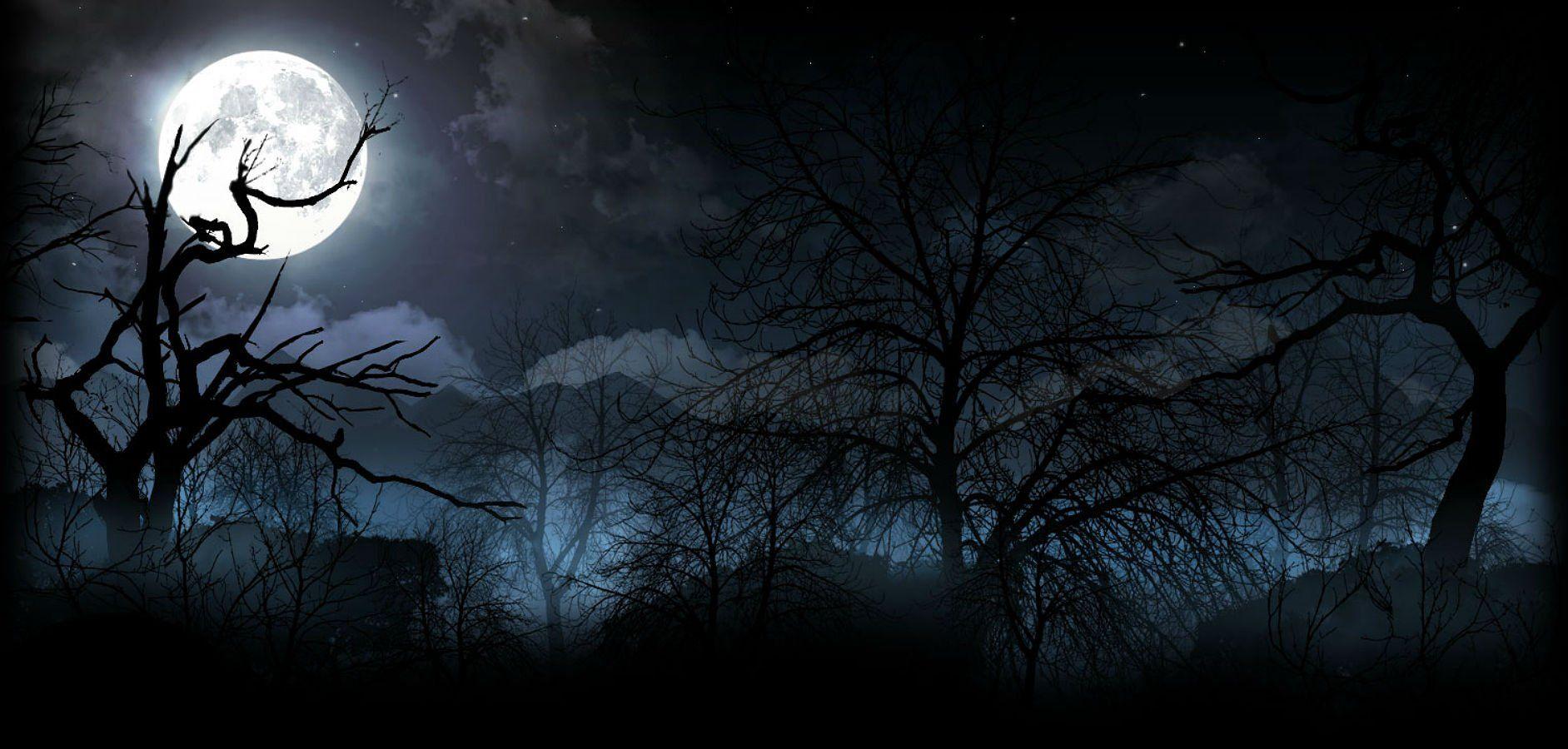 Dark Night Horror Wallpapers Top Free Dark Night Horror Backgrounds