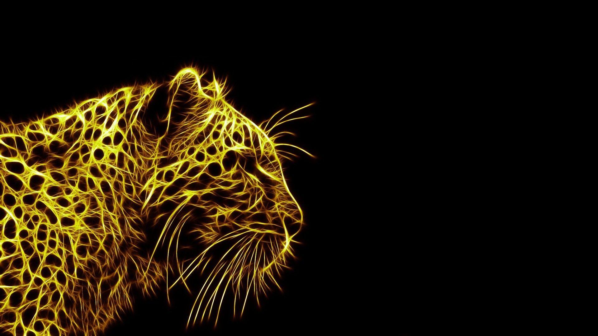 Leopard Wallpapers Top Free Leopard Backgrounds WallpaperAccess