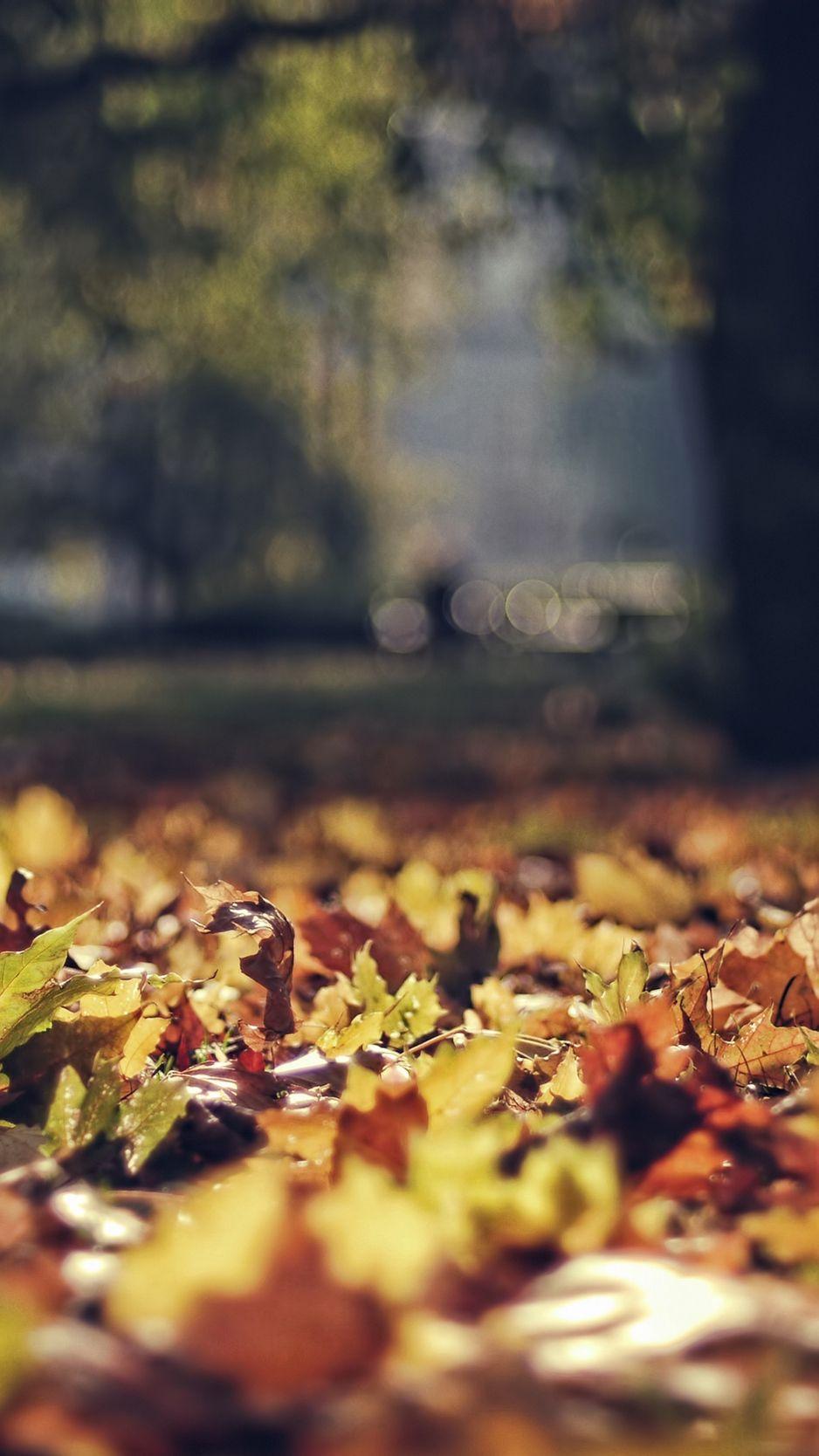 October iPhone Wallpapers Top Free October iPhone Backgrounds