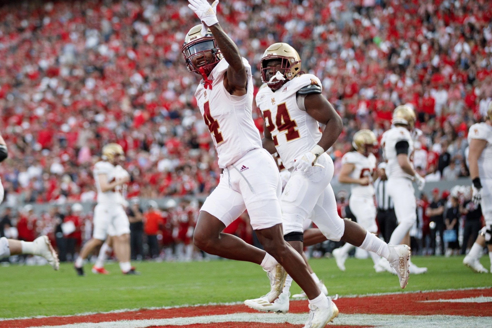 Zay Flowers Wallpapers Top Free Zay Flowers Backgrounds WallpaperAccess