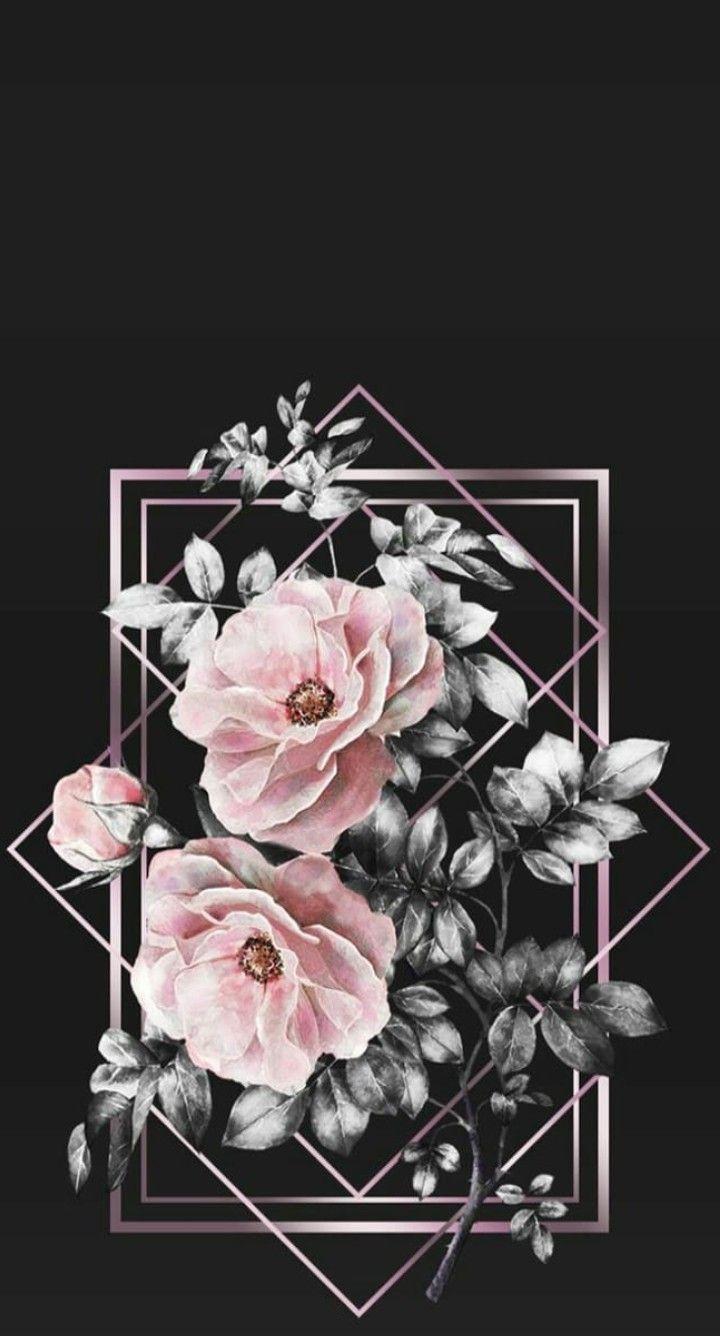 Black and White Aesthetic Flower Wallpapers Top Free Black and White