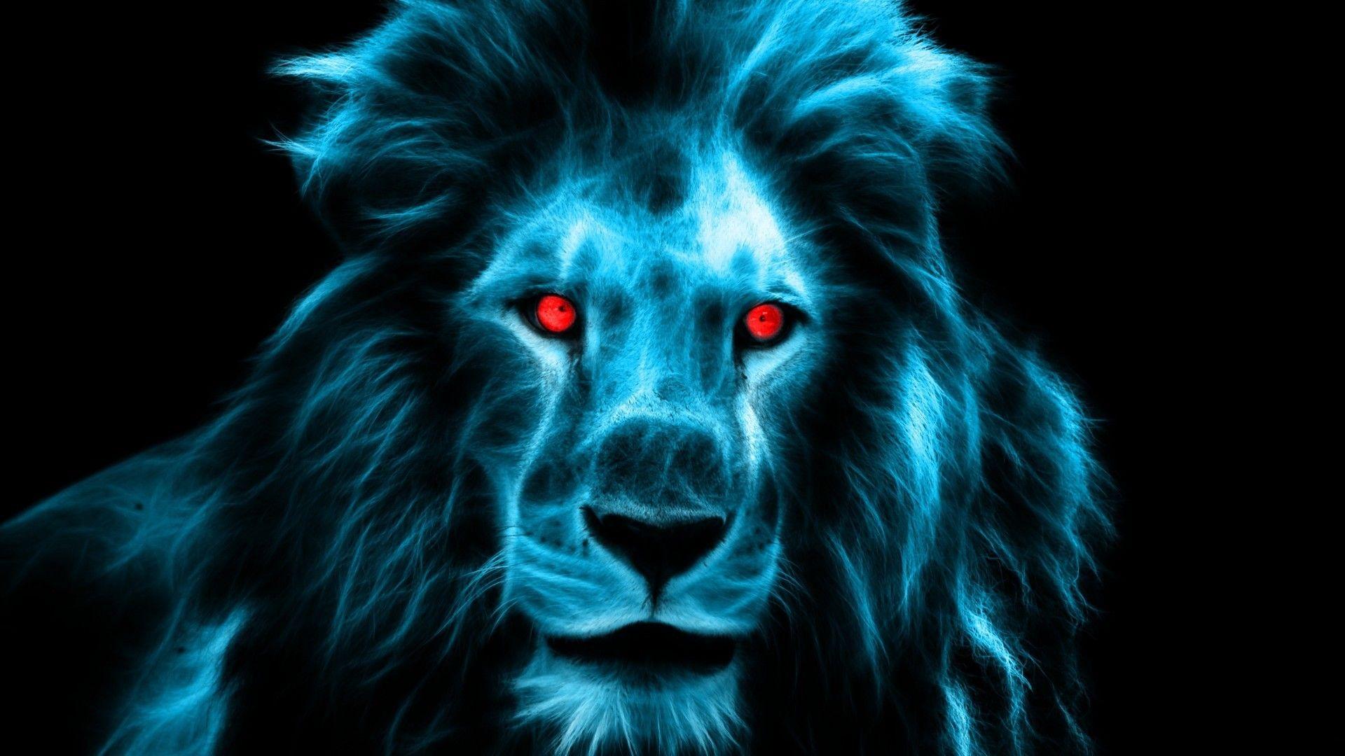 Blue Cool Lion Wallpapers Top Free Blue Cool Lion Backgrounds
