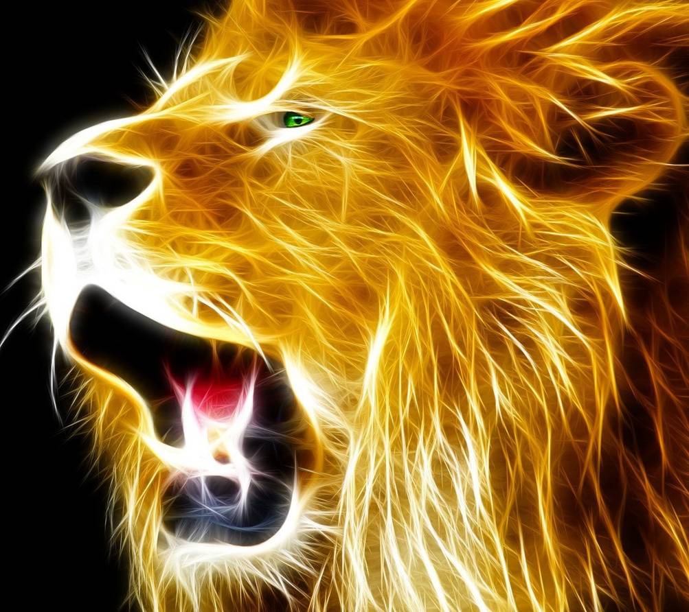 Cool Neon Lion Wallpapers Top Free Cool Neon Lion Backgrounds