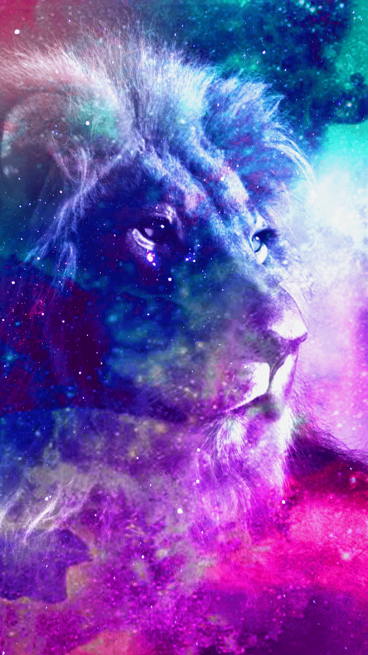Cool Lion Galaxy Wallpapers Top Free Cool Lion Galaxy Backgrounds