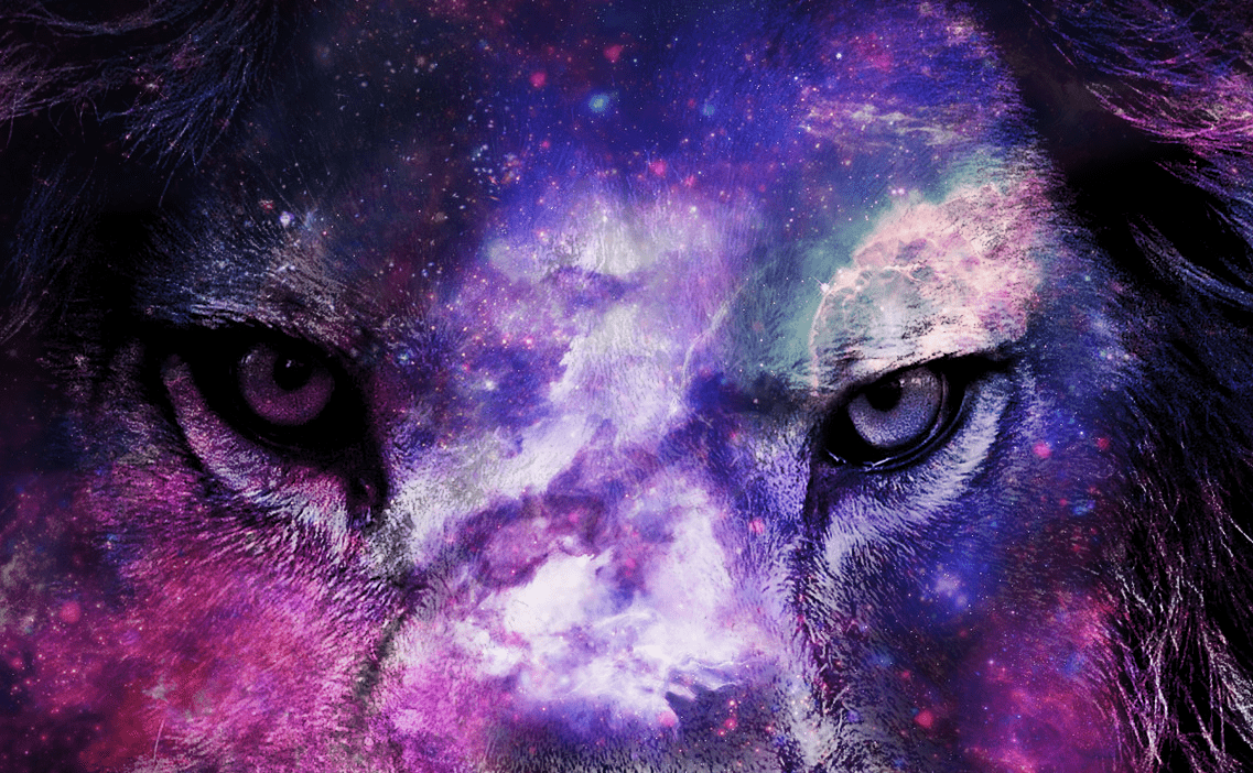 Cool Lion Galaxy Wallpapers Top Free Cool Lion Galaxy Backgrounds