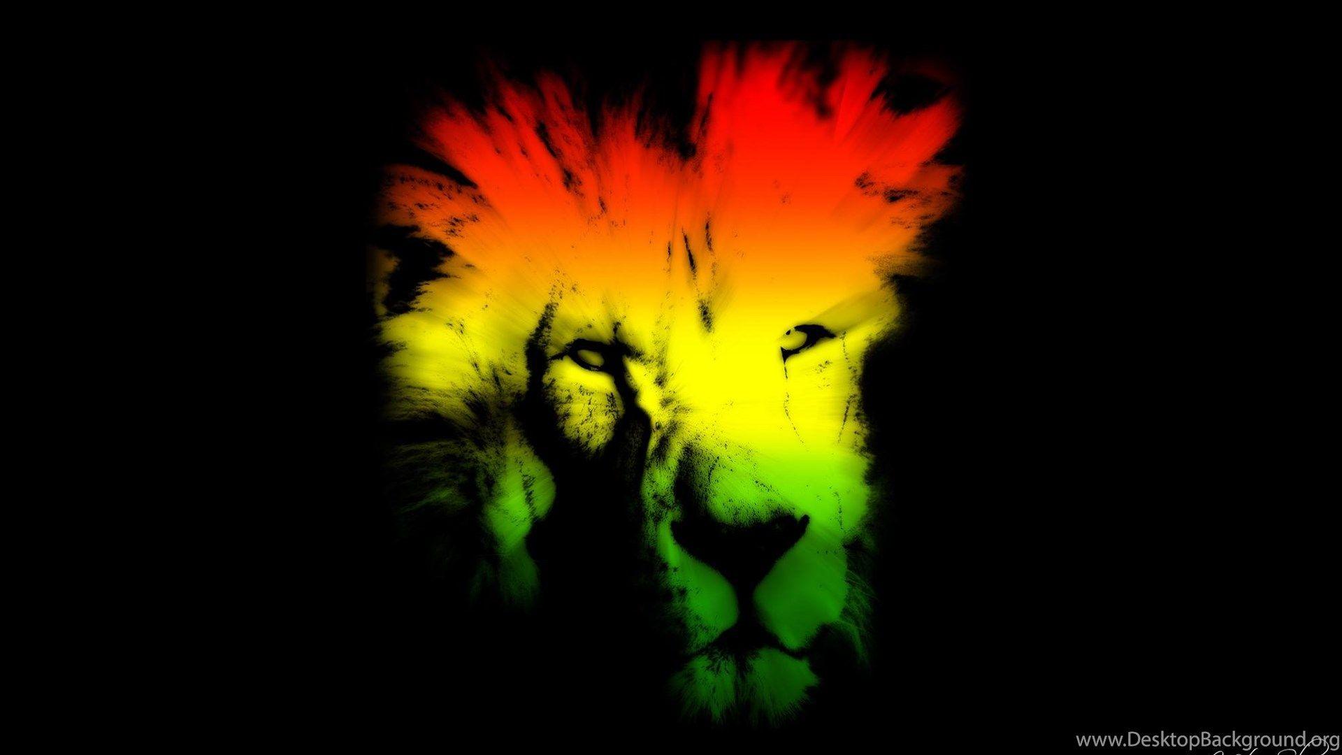 Colorful Lion Wallpapers Top Free Colorful Lion Backgrounds
