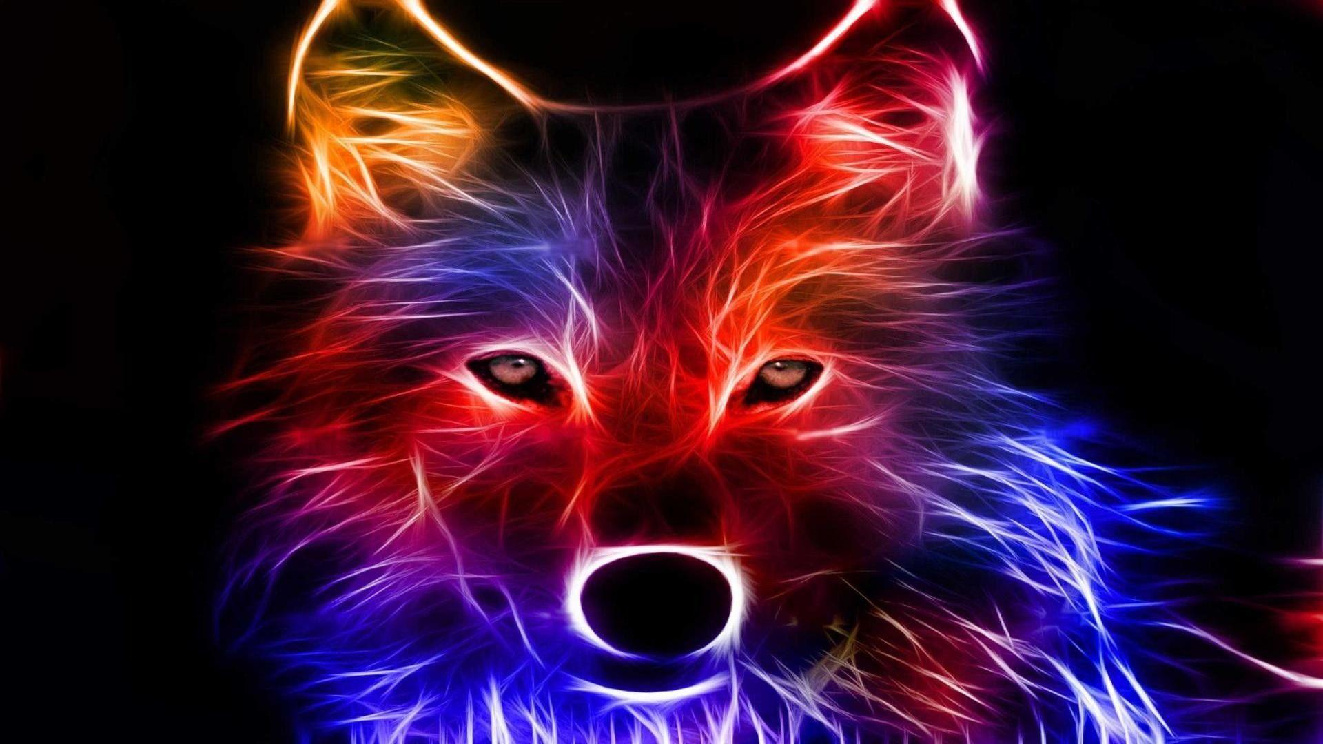 Colorful Wolf Neon Wallpapers Top Free Colorful Wolf