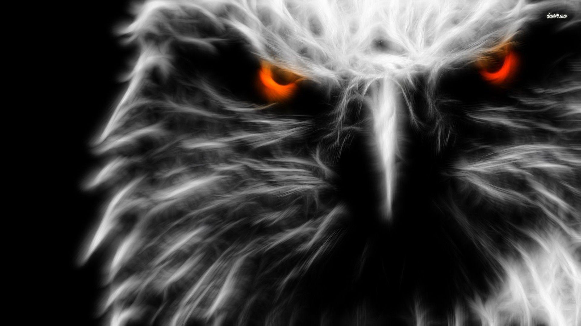 Black Eagle Wallpapers Top Free Black Eagle Backgrounds WallpaperAccess