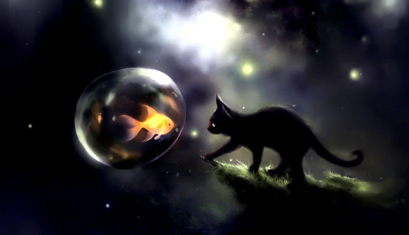 Abstract Cat Wallpapers Top Free Abstract Cat Backgrounds