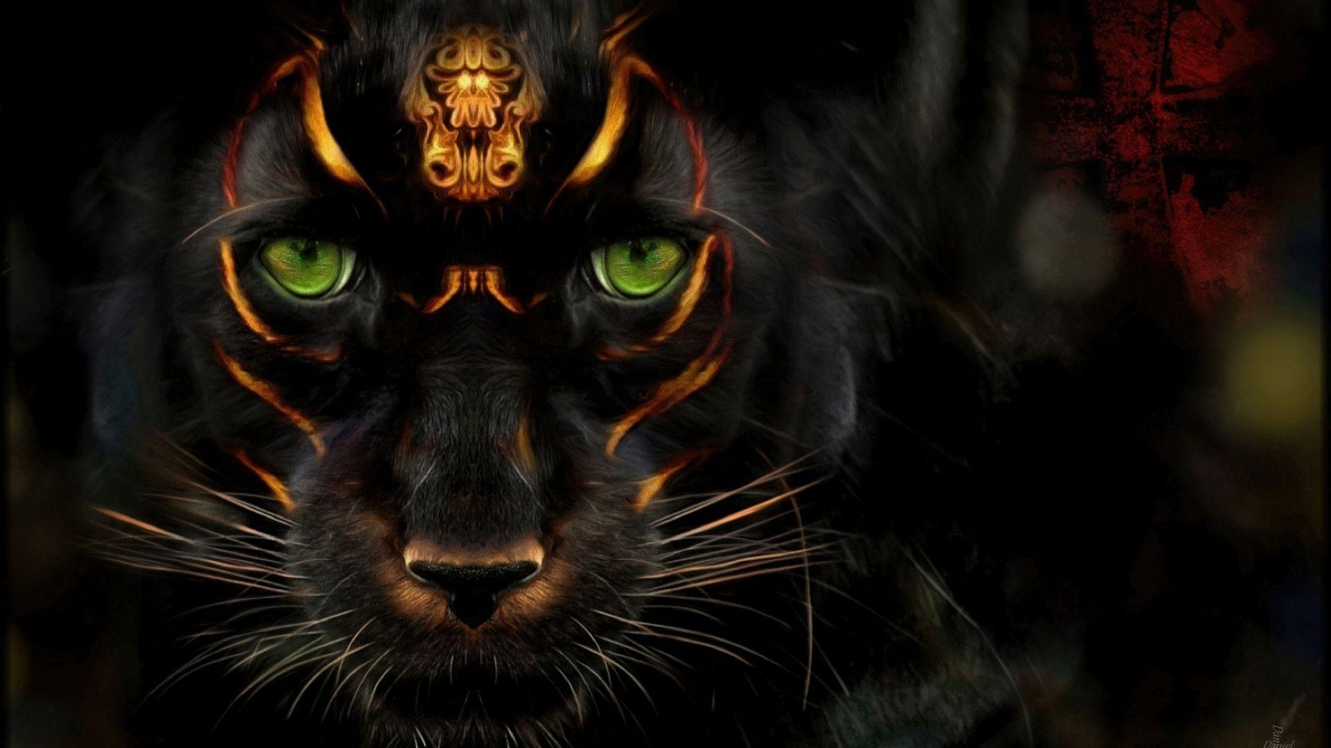 Panther Animal Wallpapers Top Free Panther Animal Backgrounds