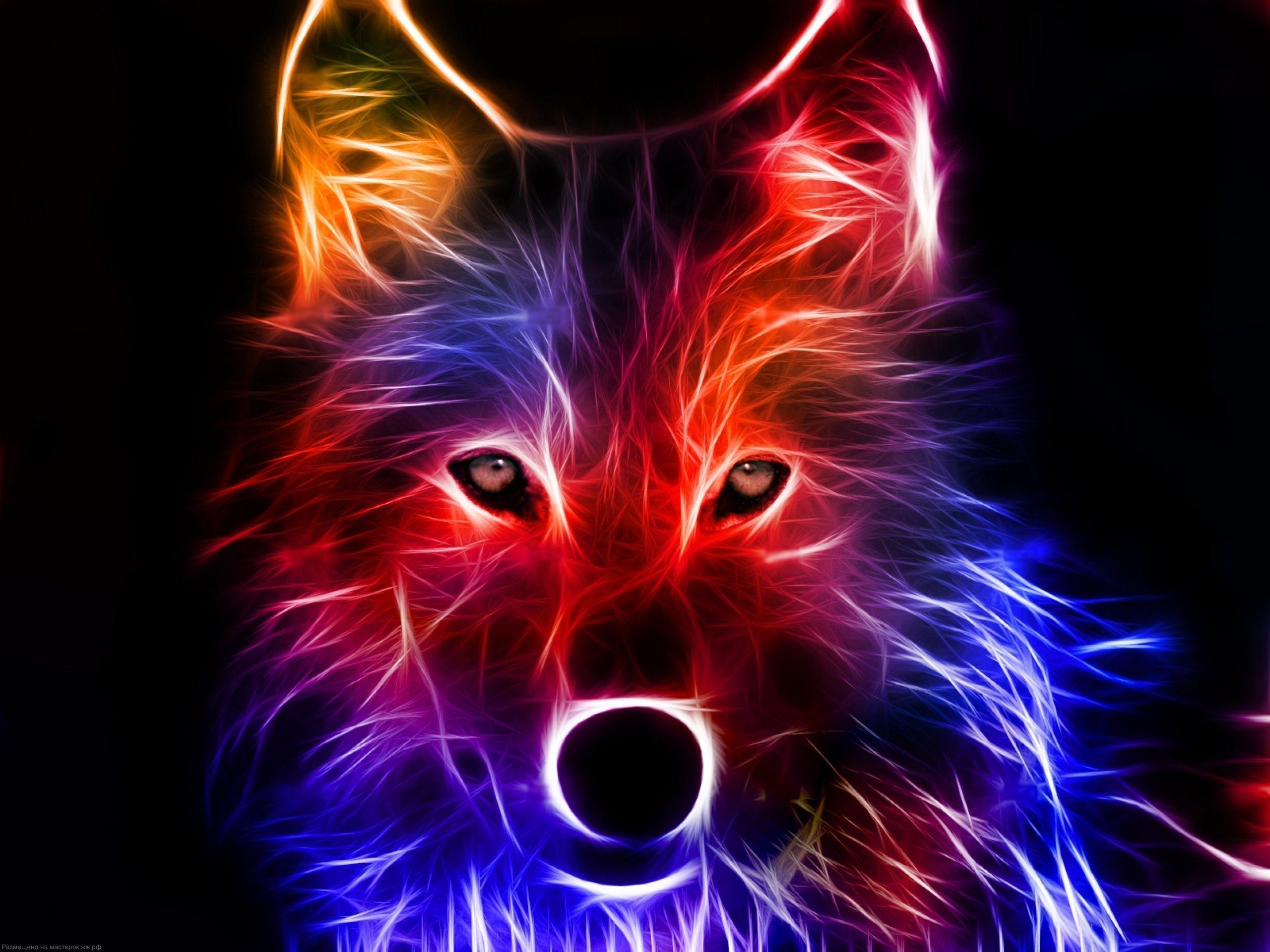 Neon Animal Wallpapers Top Free Neon Animal Backgrounds WallpaperAccess