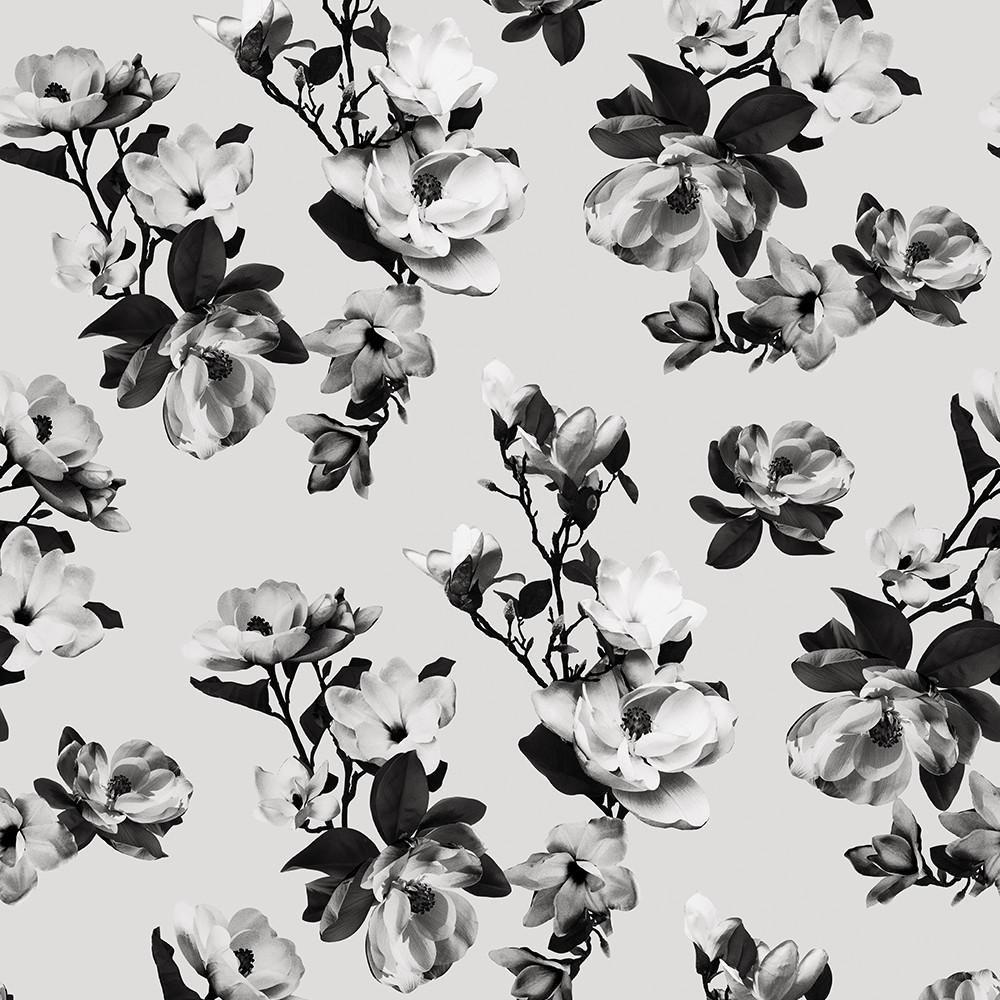 Modern Black and White Wallpapers Top Free Modern Black and White