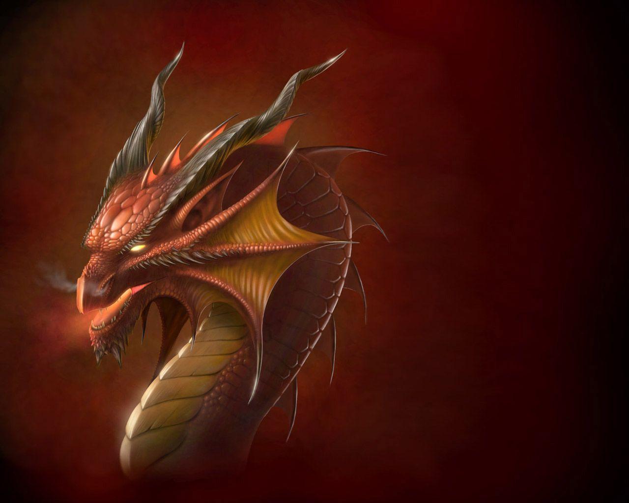 Dragon Face Wallpapers Top Free Dragon Face Backgrounds WallpaperAccess