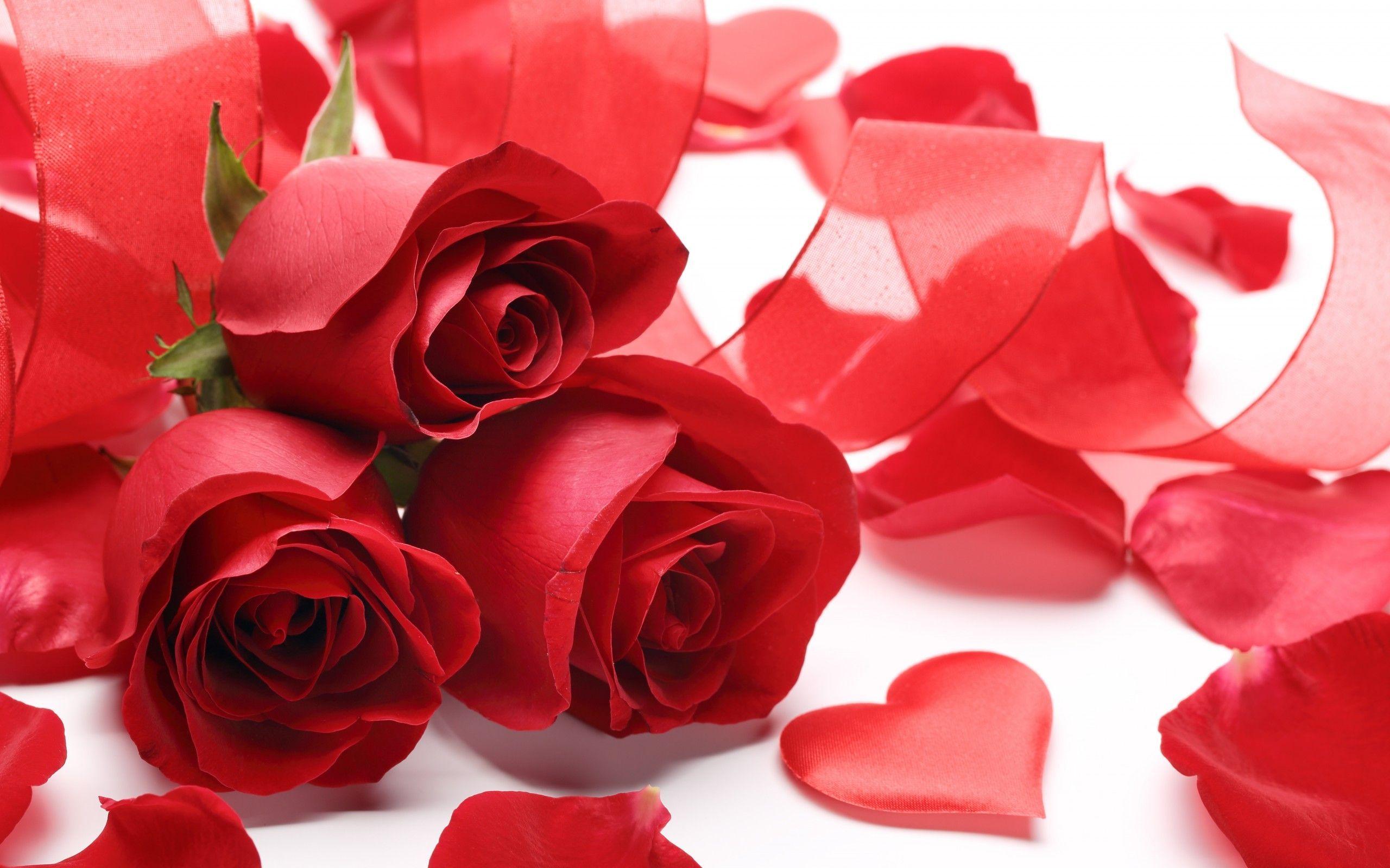 Valentine Flowers Wallpapers Top Free Valentine Flowers Backgrounds