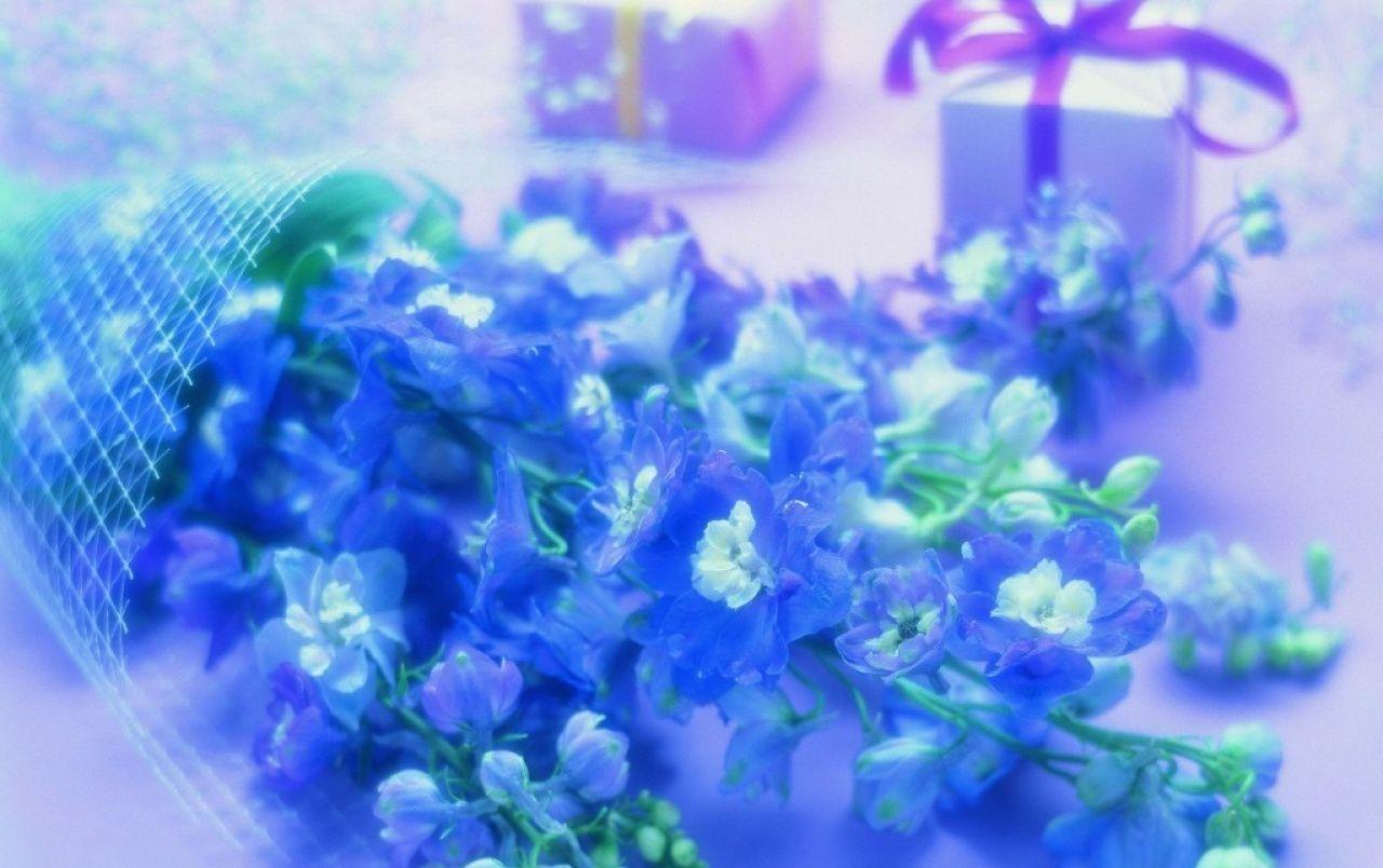 Valentine Flowers Wallpapers Top Free Valentine Flowers Backgrounds