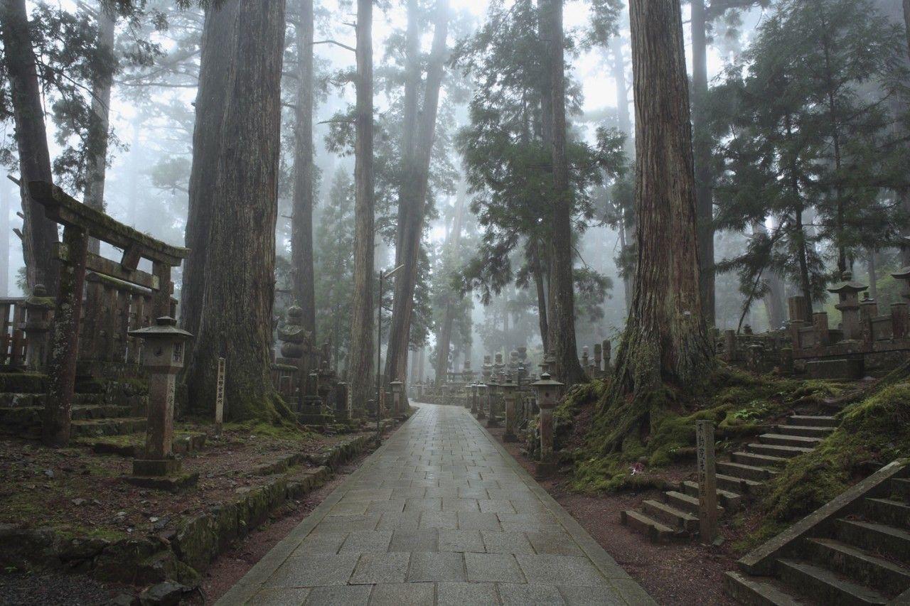 Old Japanese Wallpapers Top Free Old Japanese Backgrounds