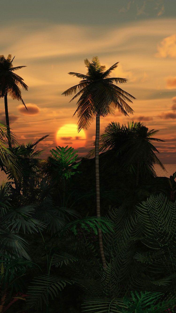 Tropical iPhone Wallpapers Top Free Tropical iPhone Backgrounds