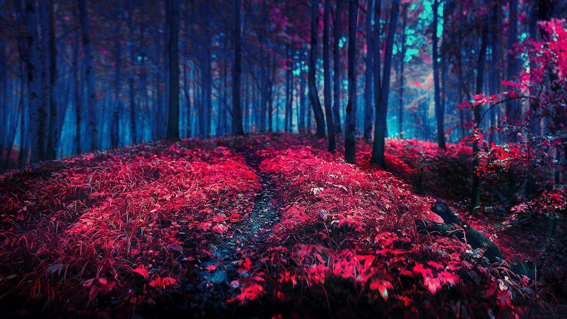 Red Nature Wallpapers Top Free Red Nature Backgrounds WallpaperAccess