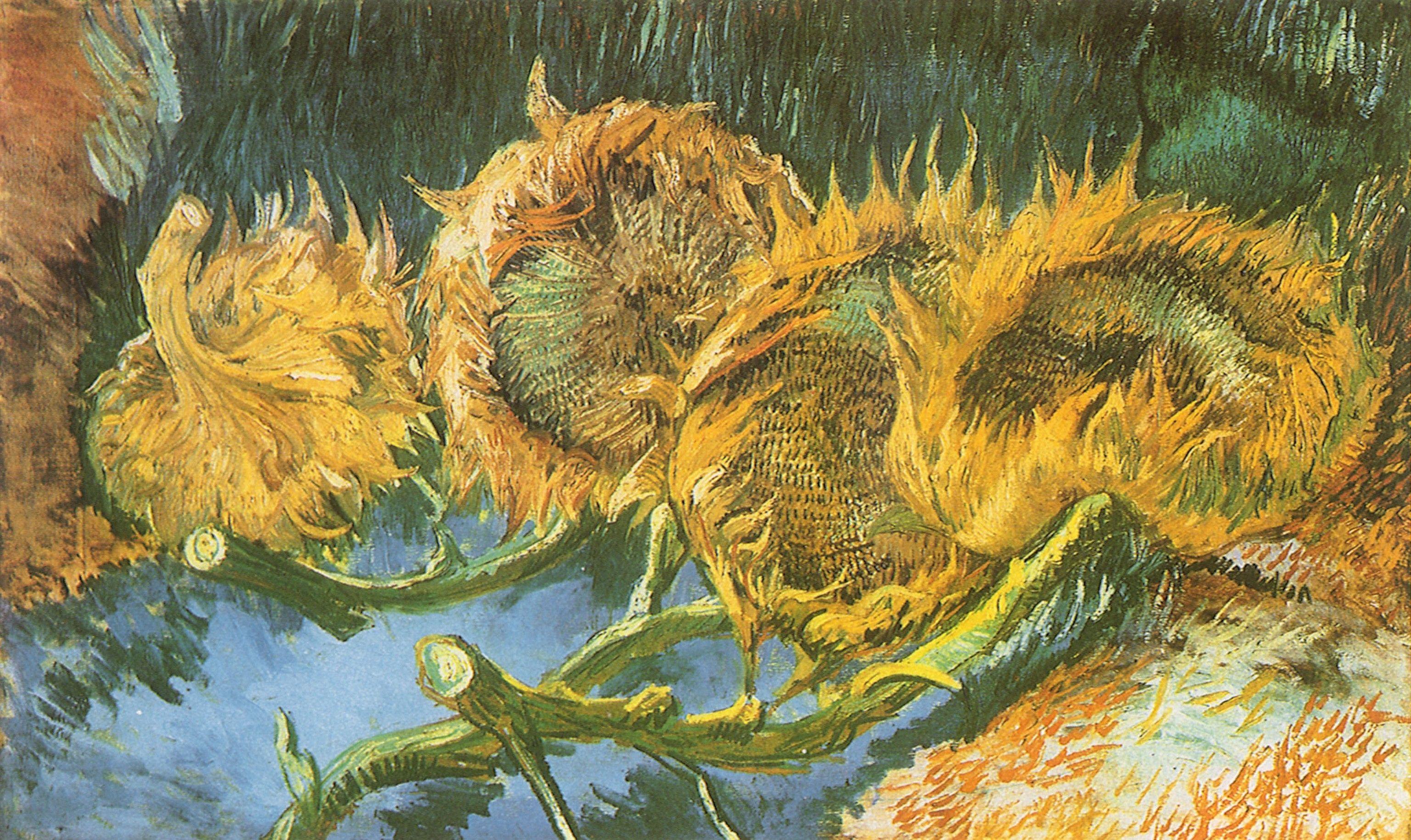 Van Gogh Sunflowers Wallpapers Top Free Van Gogh Sunflowers