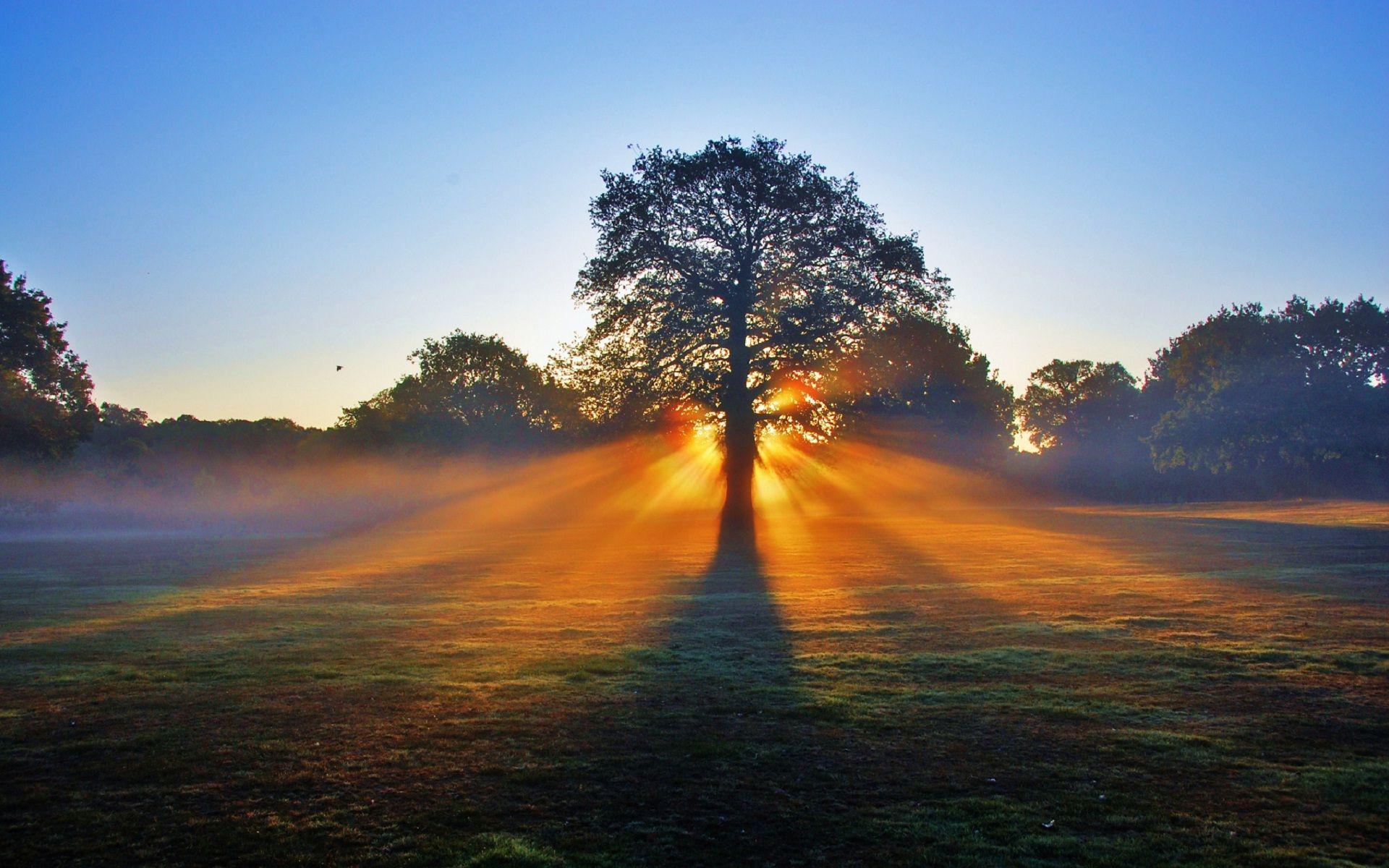 Morning Sunshine Wallpapers Top Free Morning Sunshine Backgrounds