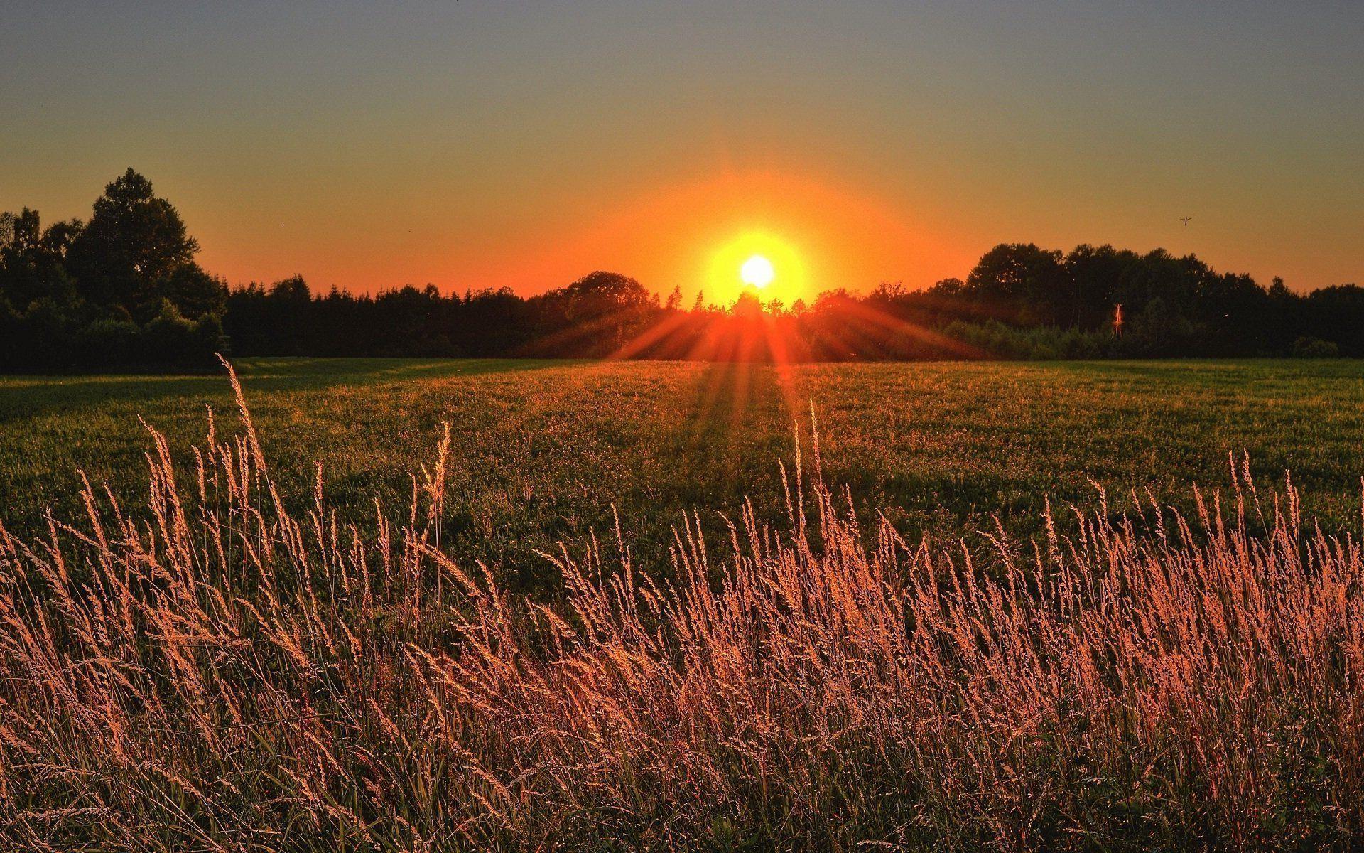 Morning Sunshine Wallpapers Top Free Morning Sunshine Backgrounds