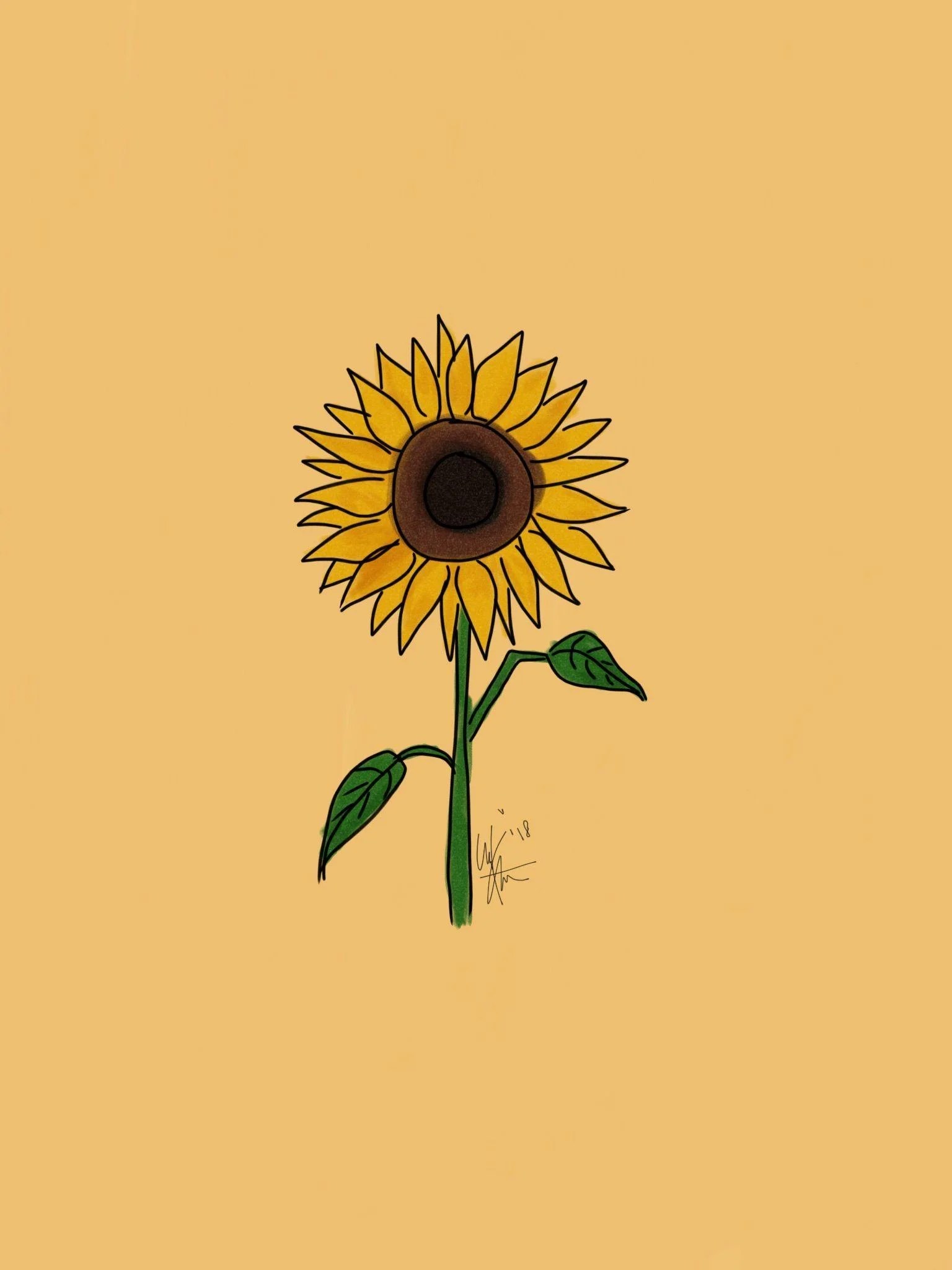 Cute Cartoon Sunflower Wallpapers Top Free Cute Cartoon Sunflower