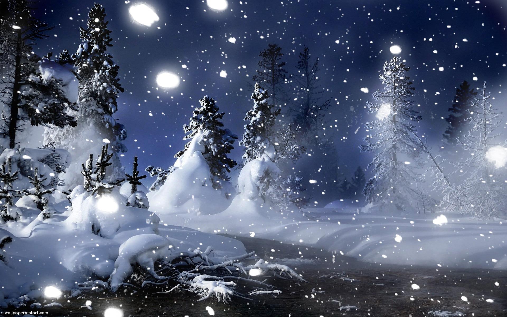 Winter Night Wallpapers Top Free Winter Night Backgrounds