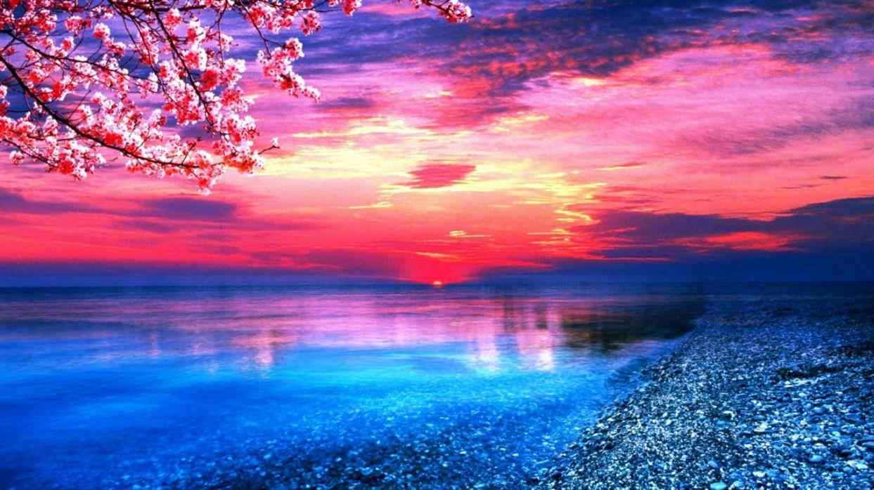 Pink Sunset Wallpapers Top Free Pink Sunset Backgrounds WallpaperAccess
