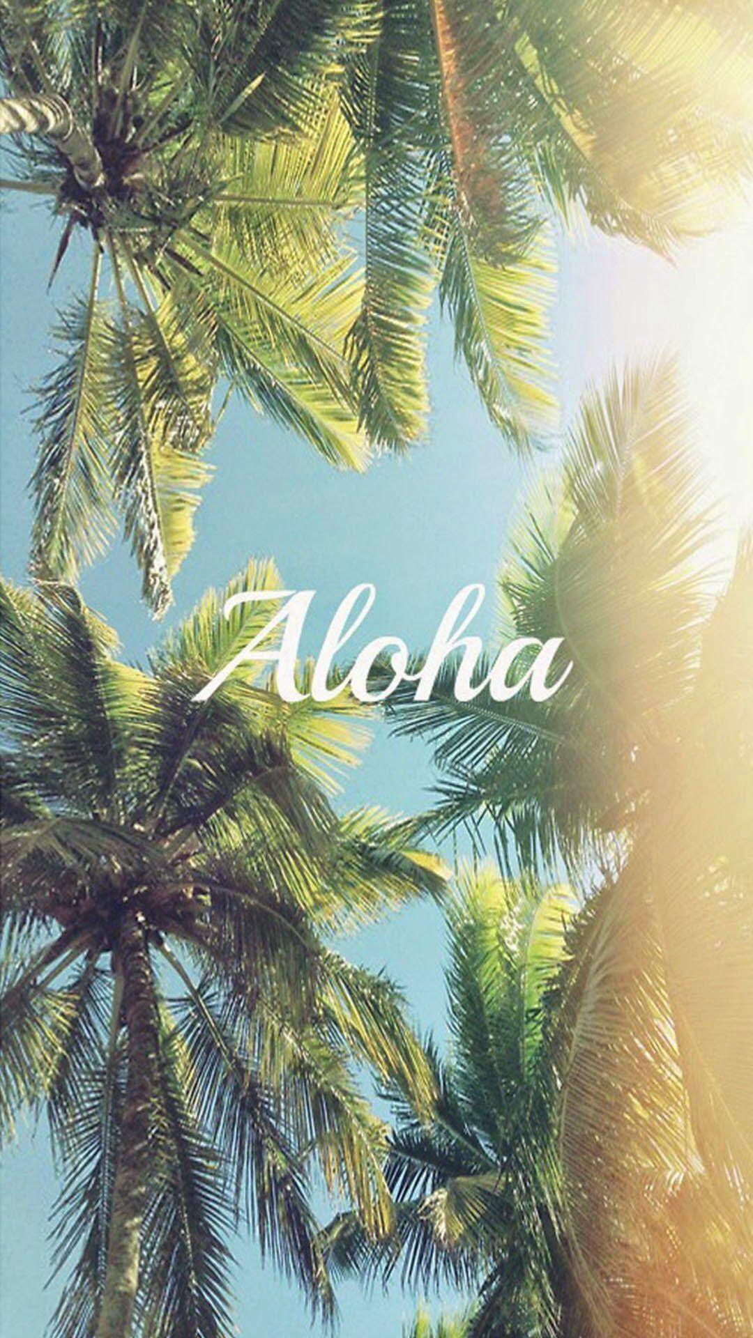 Palm Tree iPhone Wallpapers Top Free Palm Tree iPhone Backgrounds