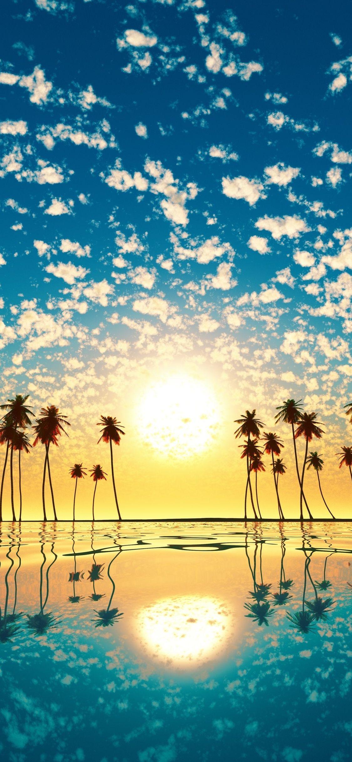 Palm Tree Sunset iPhone Wallpapers Top Free Palm Tree Sunset iPhone