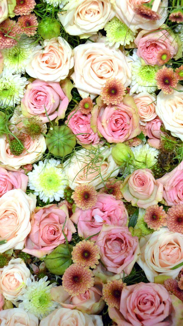 Summer Floral iPhone Wallpapers Top Free Summer Floral iPhone