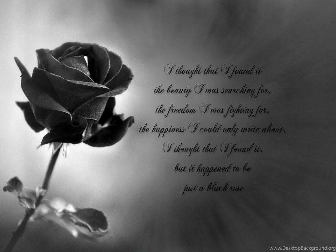 Sad Flower Wallpapers Top Free Sad Flower Backgrounds WallpaperAccess