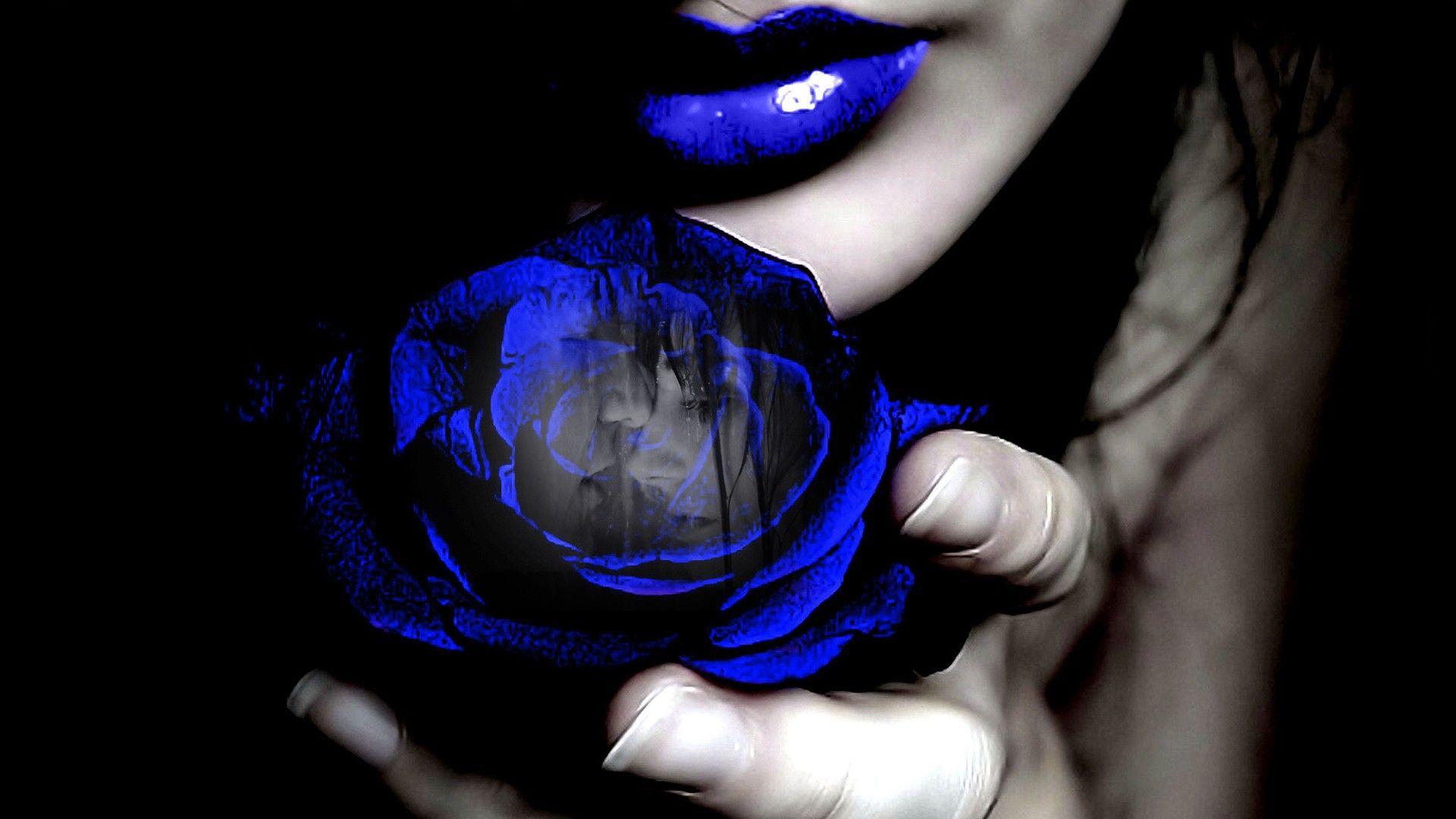 Black and Blue Rose Wallpapers Top Free Black and Blue Rose