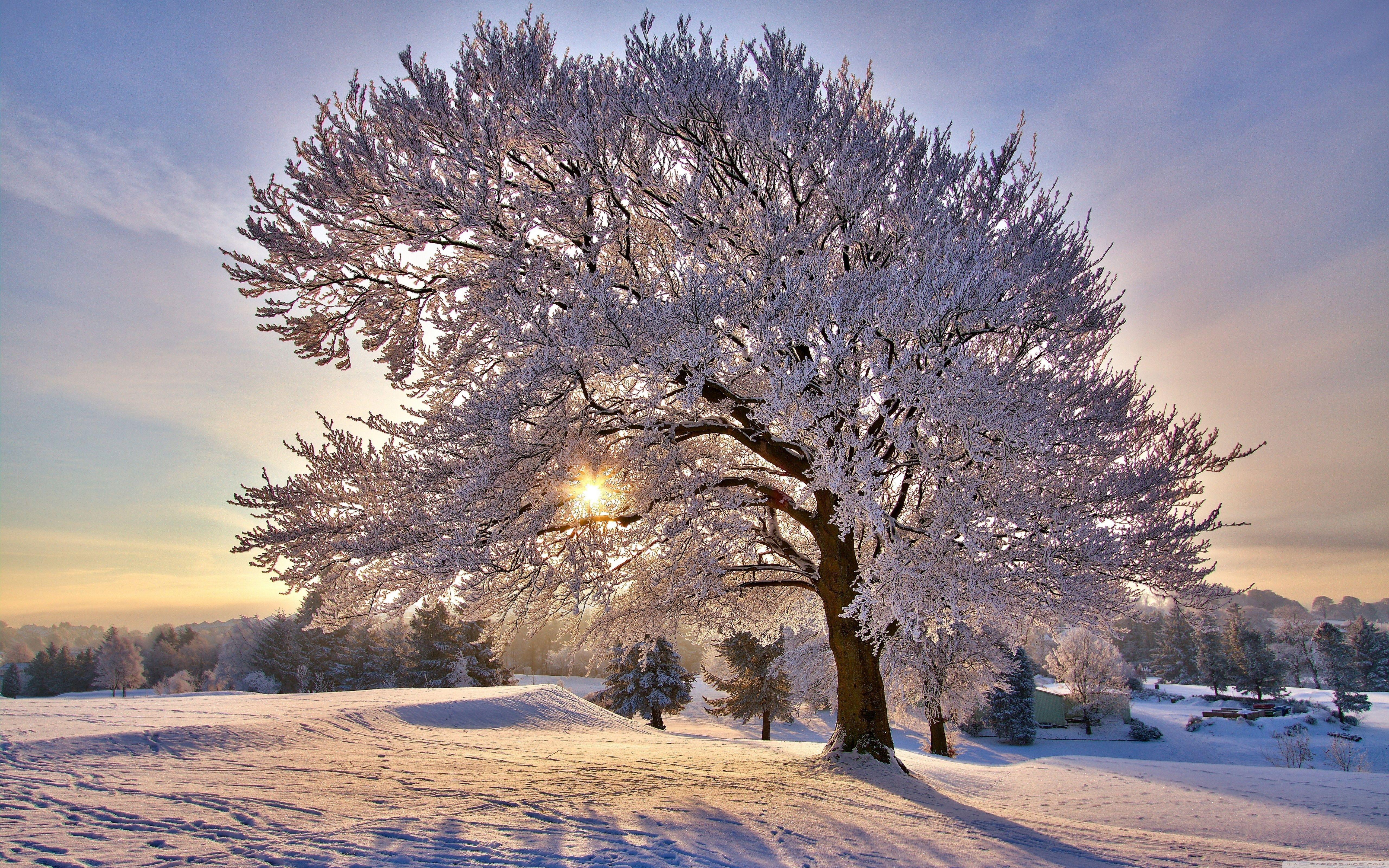 Beautiful Winter HD Desktop Wallpapers - Top Free Beautiful Winter HD