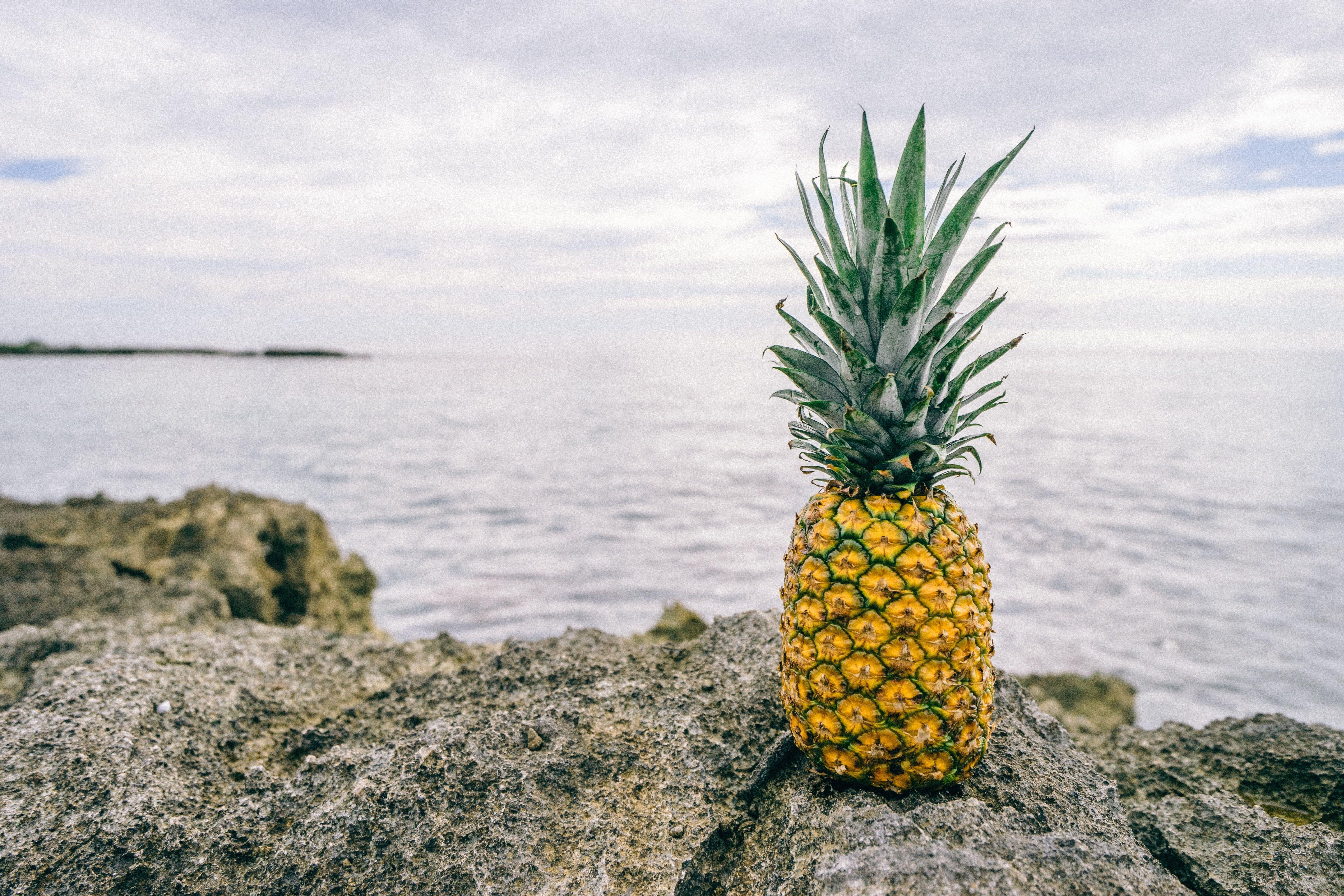 Pineapple Beach Wallpapers Top Free Pineapple Beach Backgrounds