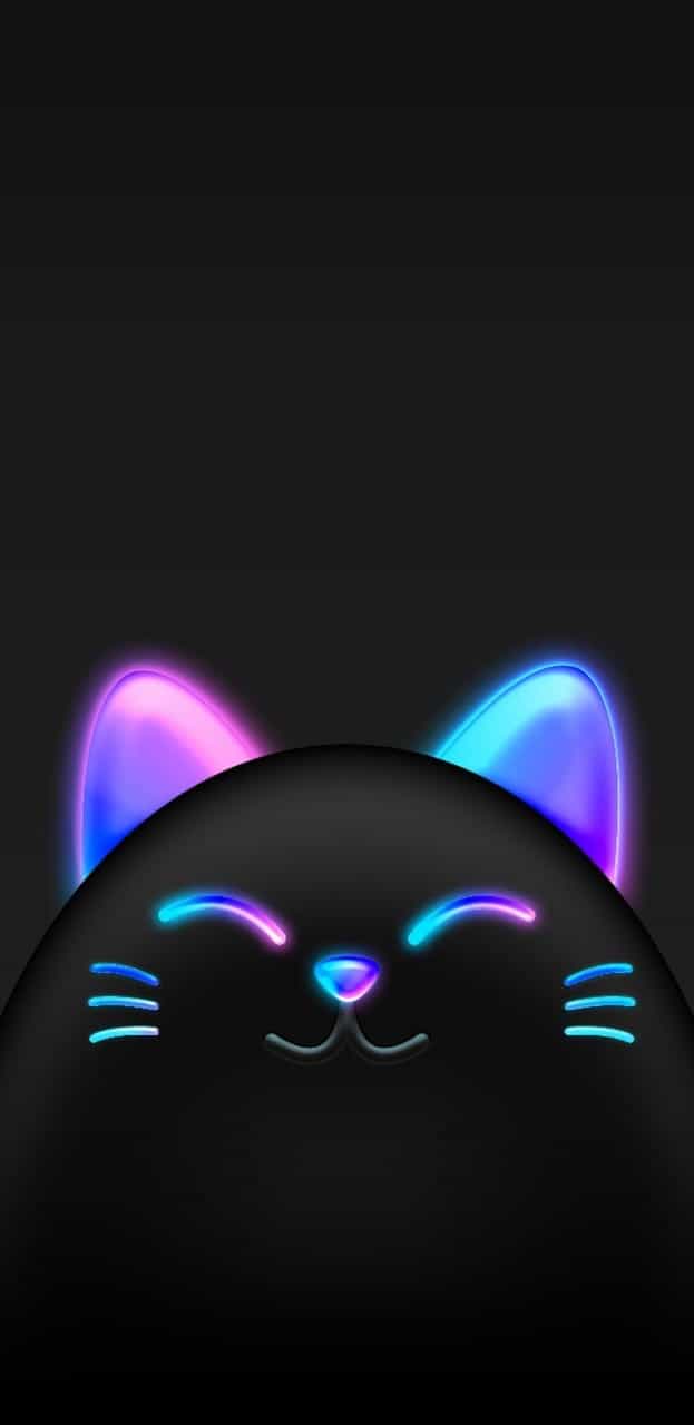 Neon Cat Wallpapers Top Free Neon Cat Backgrounds WallpaperAccess