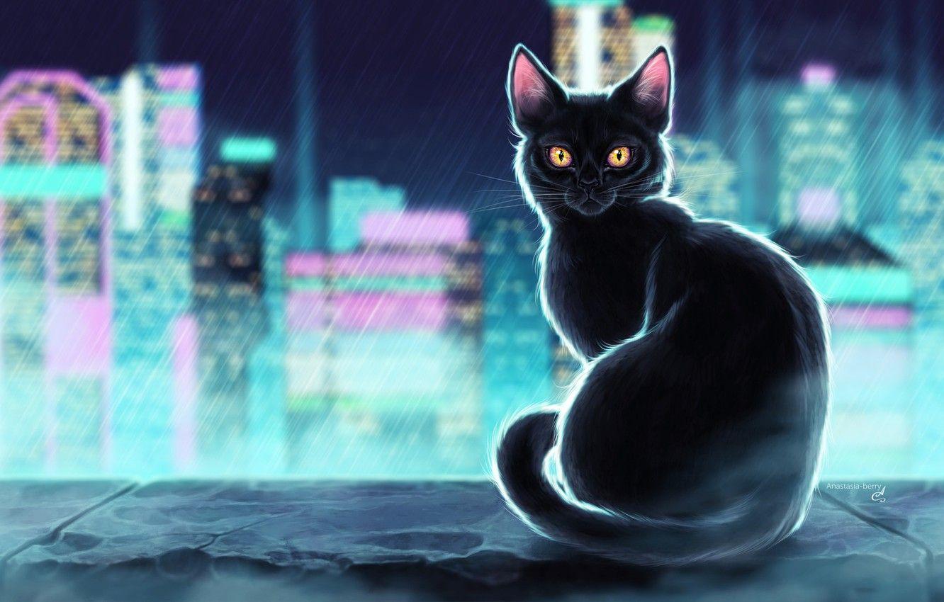 Neon Cat HD Wallpapers Top Free Neon Cat HD Backgrounds WallpaperAccess