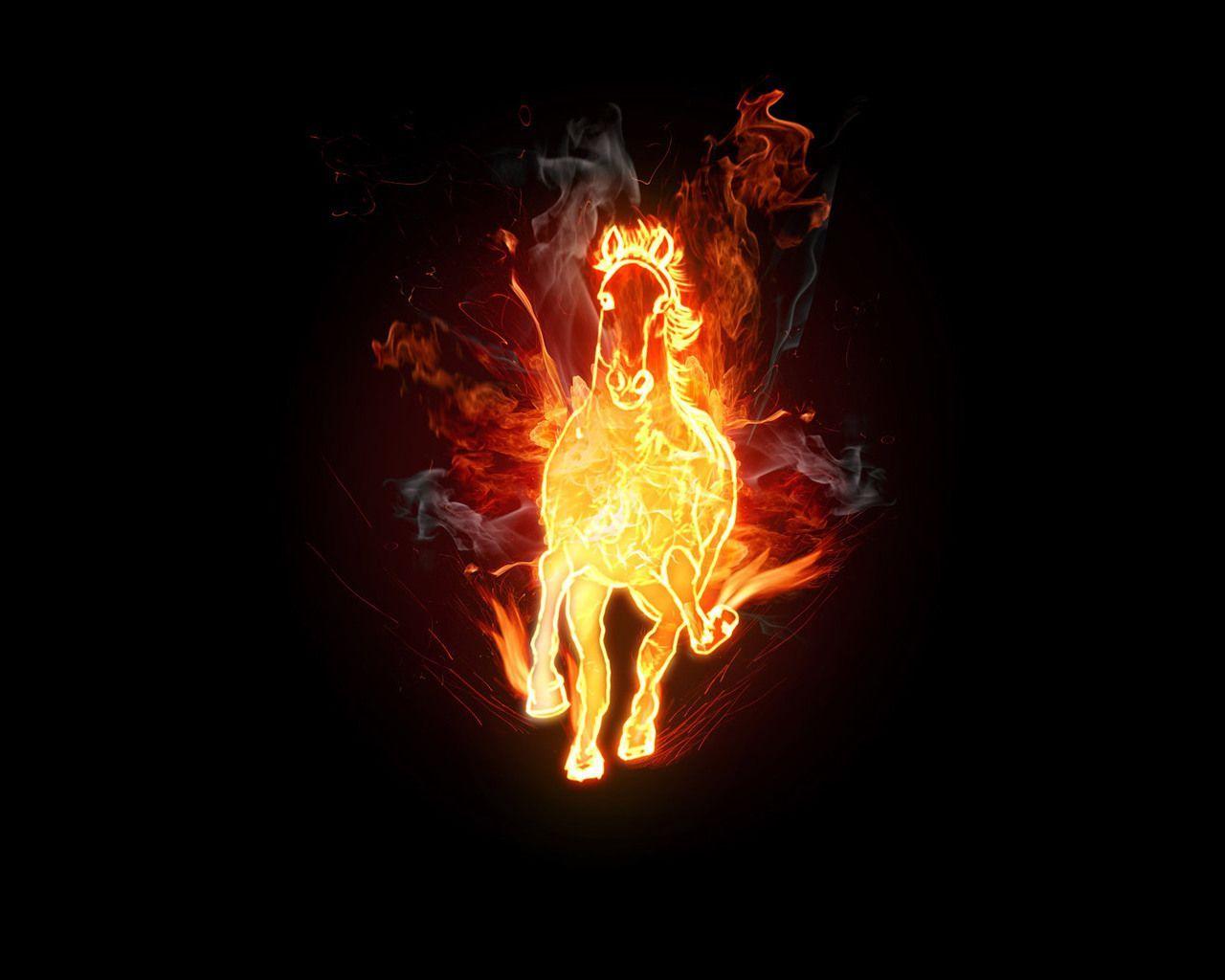 Neon Horse Wallpapers Top Free Neon Horse Backgrounds WallpaperAccess