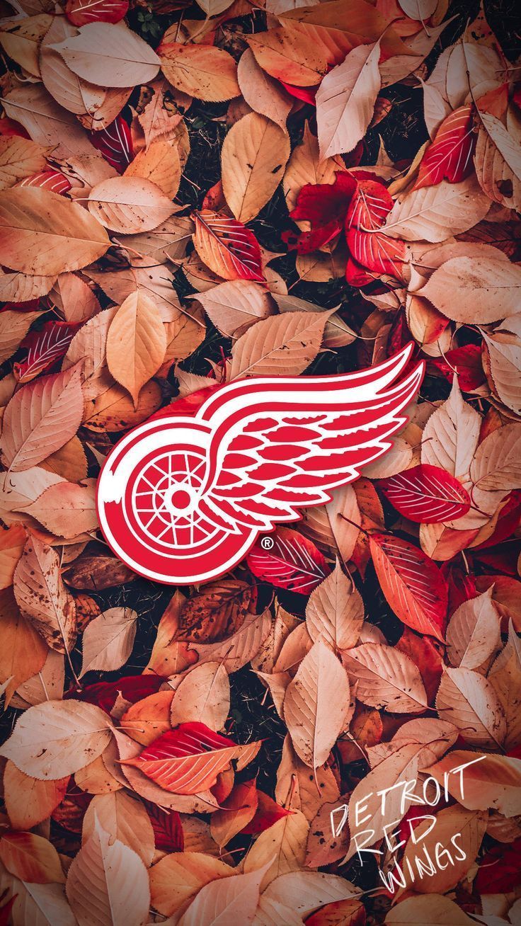 Detroit Red Wings Wallpapers Top Free Detroit Red Wings Backgrounds