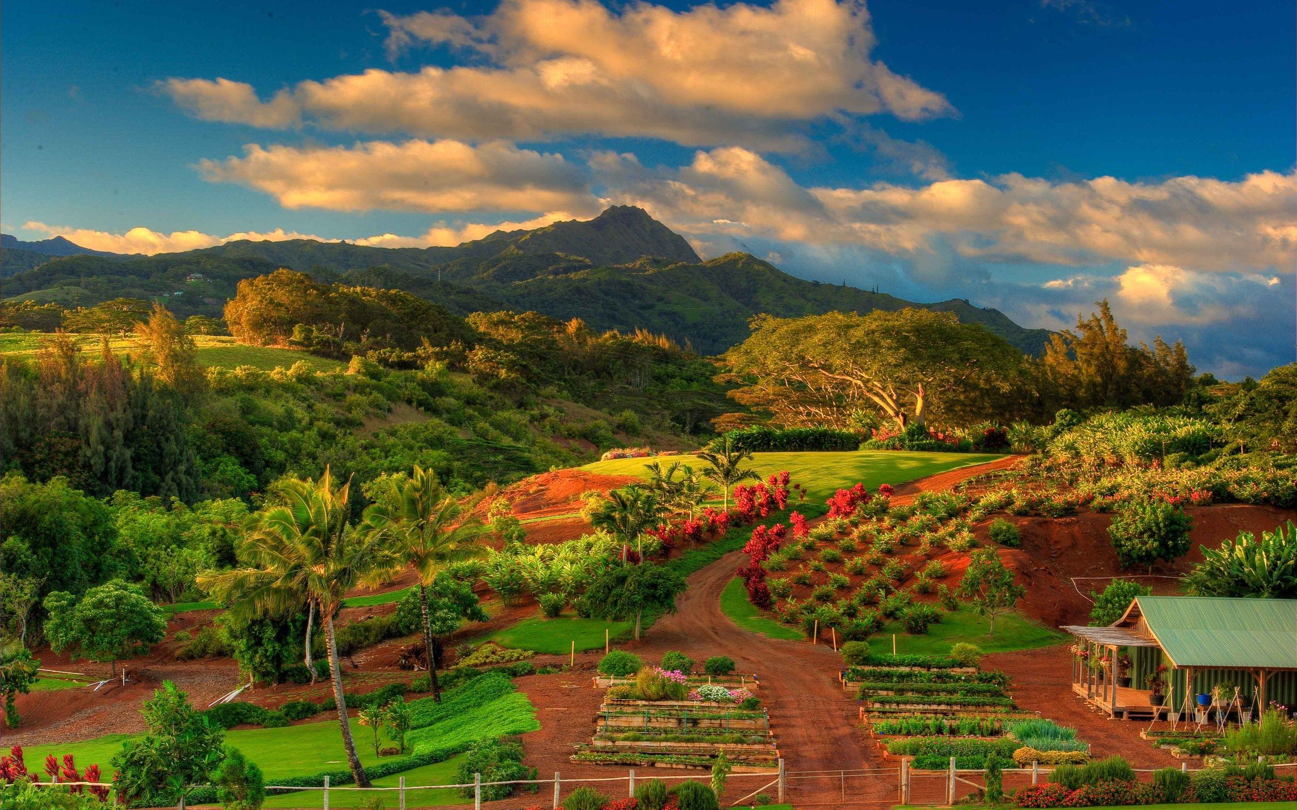 Hawaii Landscape Wallpapers Top Free Hawaii Landscape Backgrounds