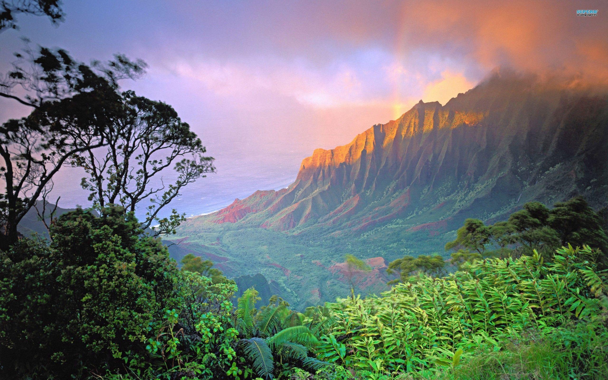 Hawaii Landscape Wallpapers Top Free Hawaii Landscape Backgrounds